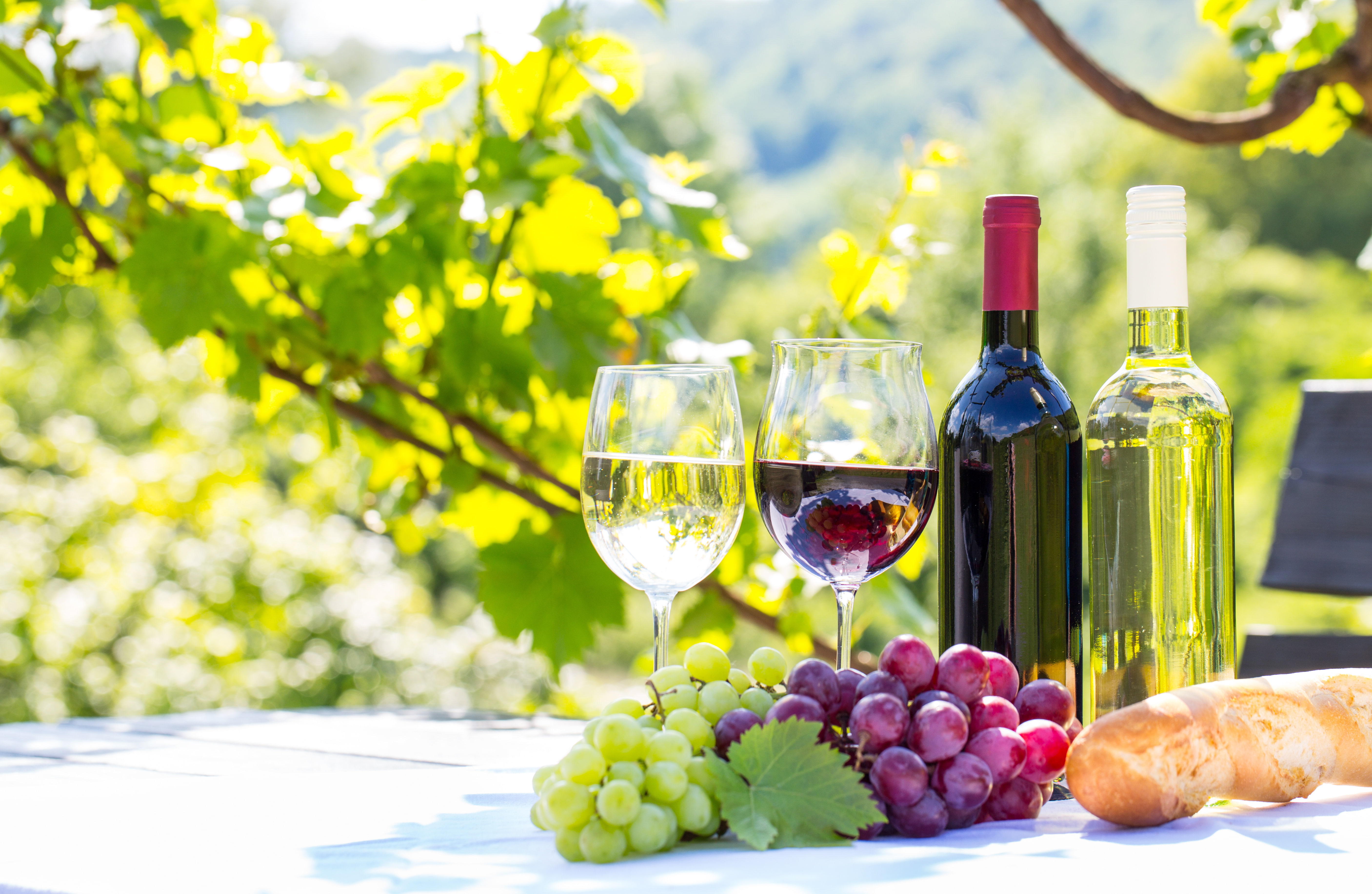 red, baguette, wine, baton, 5K, grapes, bread, glasses, white, leaves, HD Wallpaper
