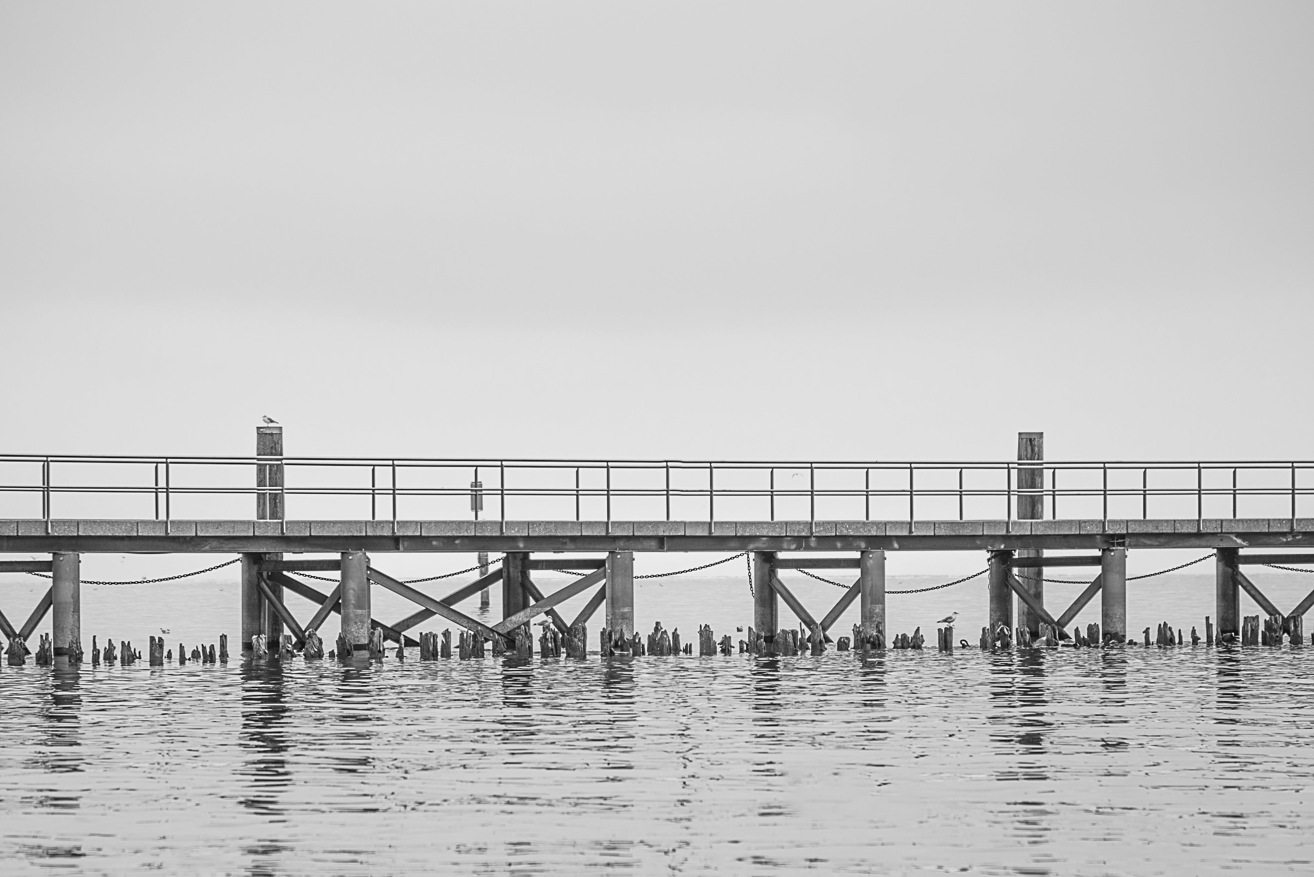 4K, hagnau, no people, copy space, tranquility, mood, pier, investors, bank, lake constance, outdoors, clear sky, built structure, sea, tranquil scene, HD Wallpaper