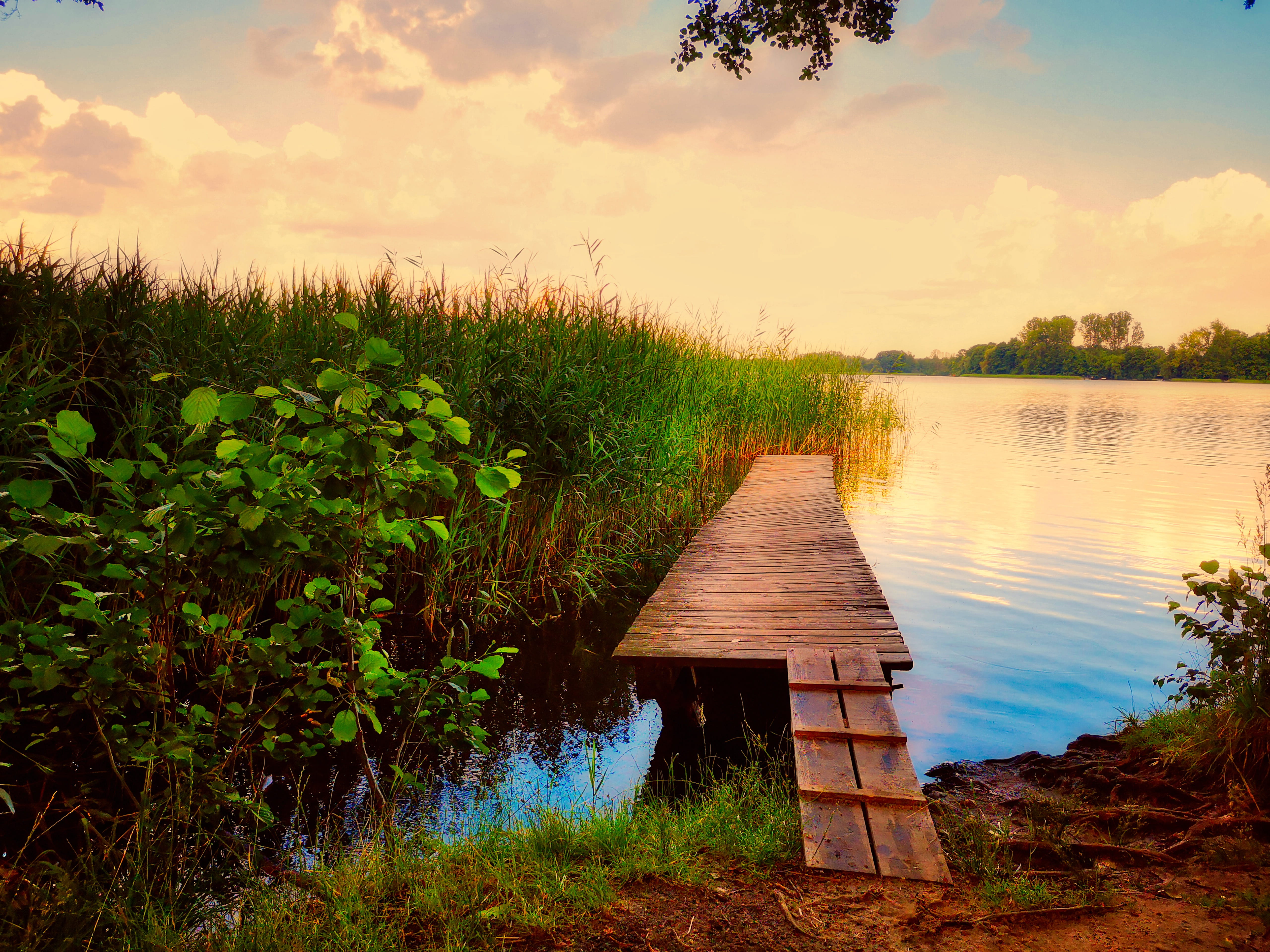 landscape, cloud - sky, scenics - nature, grass, dock, wandlitzsee, wood - material, lake, web, beauty in nature, abendstimmung, bathing place, blue, investors, HD Wallpaper