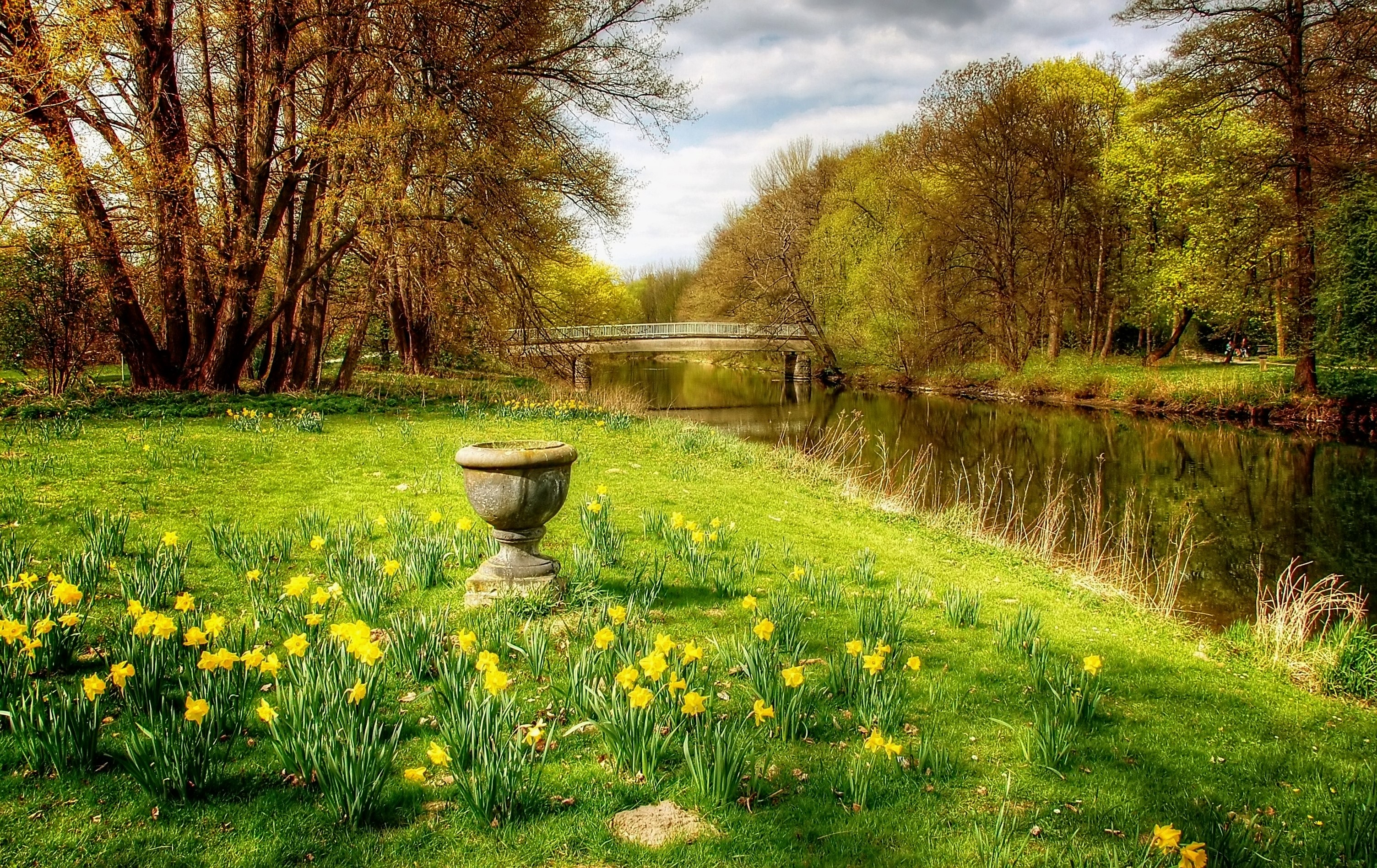 land, tranquil scene, scenics - nature, tree, atmospheric, green, still, summer, growth, no people, bridge, braunschweig, grass, flower, light, trees, day, HD Wallpaper