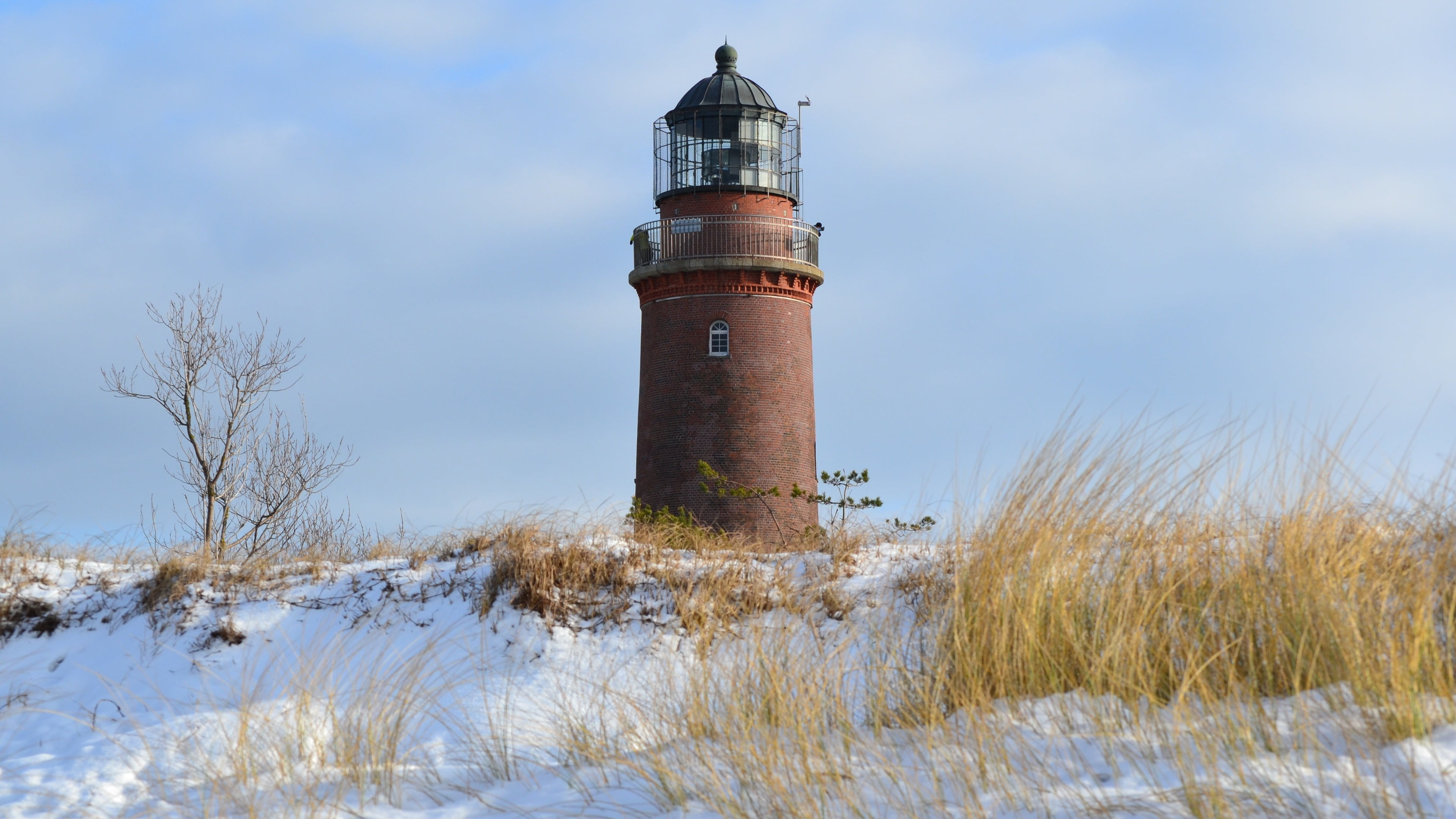 mecklenburg-west pomerania, europe, no people, winter, snow, baltic sea, germany, safety, day, nature, prerow, national park, western pomerania lagoon area national park, HD Wallpaper