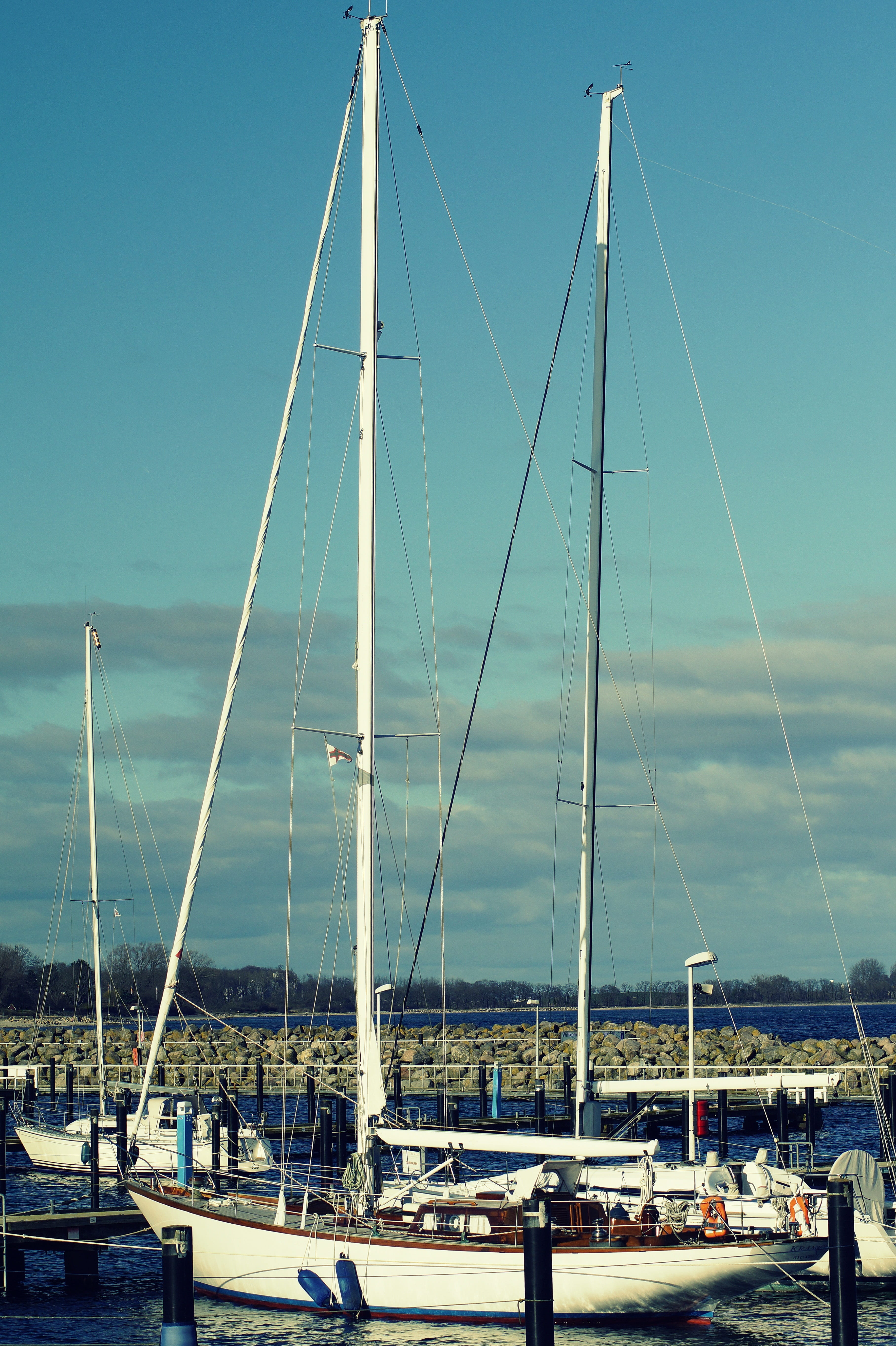 masts, pole, season, marina, boat, rig, baltic sea, the start of the season, bay, port, nautical vessel, mode of transportation, architecture, maritime, Phone HD Wallpaper
