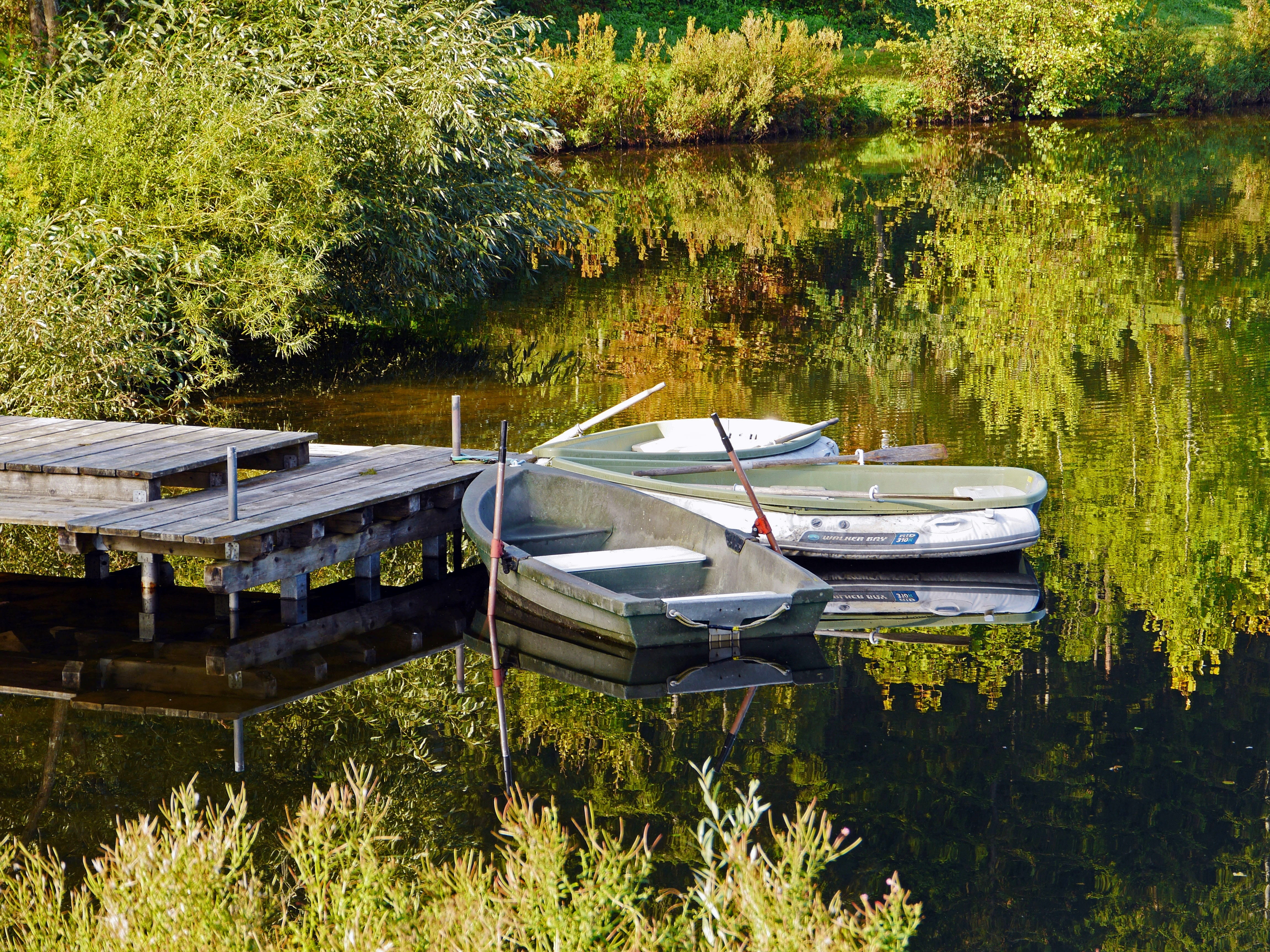 mode of transportation, germany, jetty, black forest, water sports, helm, plant, no people, day, reflection, water, outdoors, nagold, tranquil scene, moored, HD Wallpaper