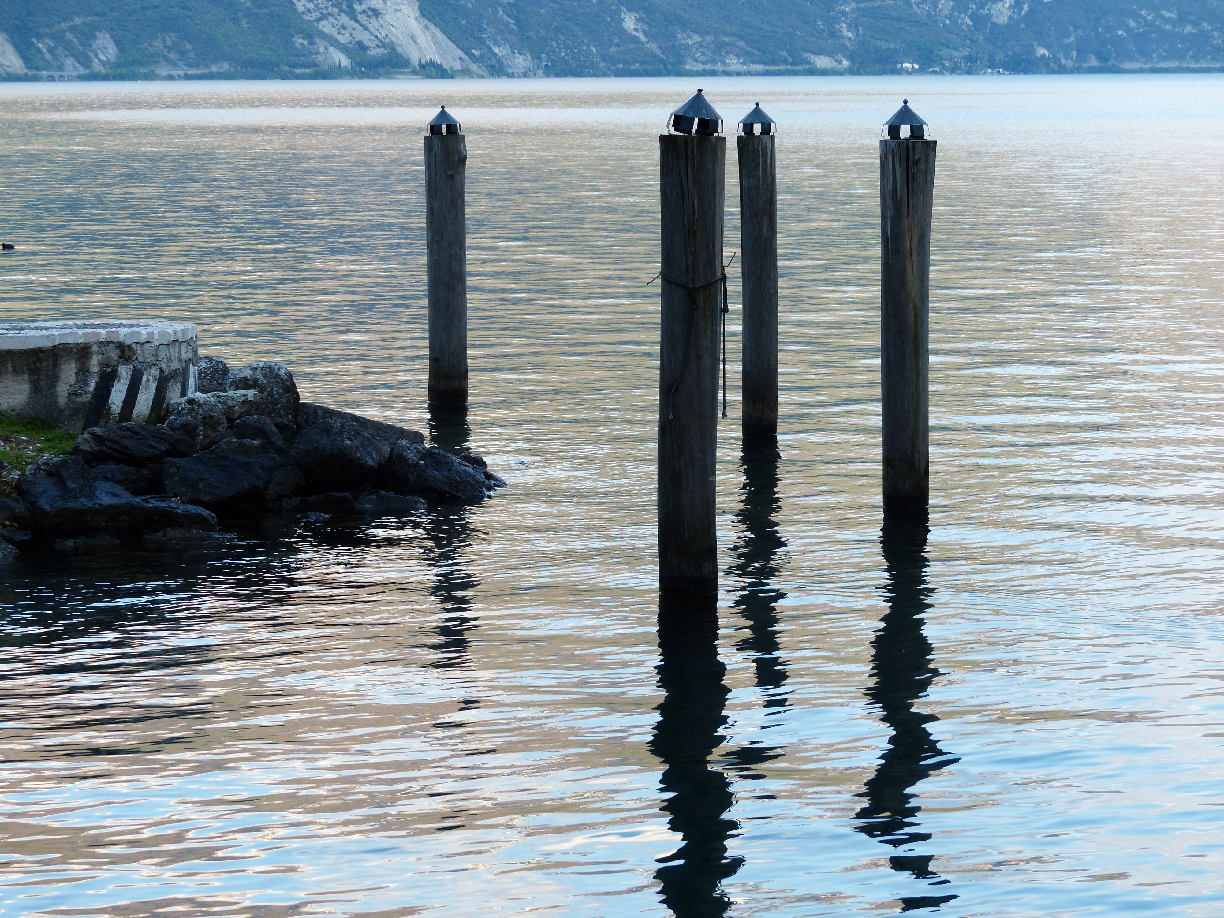 sea, outdoors, waterfront, Lake, idyllic, Mole, wood - material, no people, animal, non-urban scene, Garda, garda, wooden post, scenics - nature, Water, HD Wallpaper