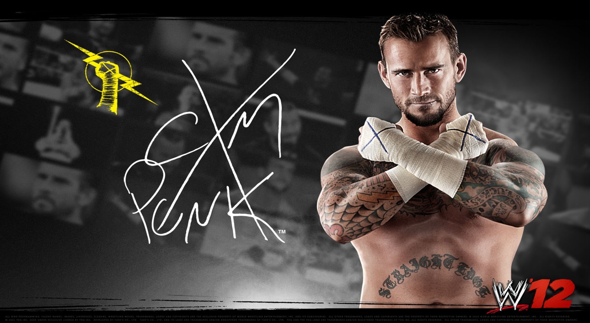athlete, cm punk, young adult, 2012, one person, board, men, punk, macho, sports training, cxm, males, muscular build, strength, lifestyles, penk, 1080P, HD Wallpaper