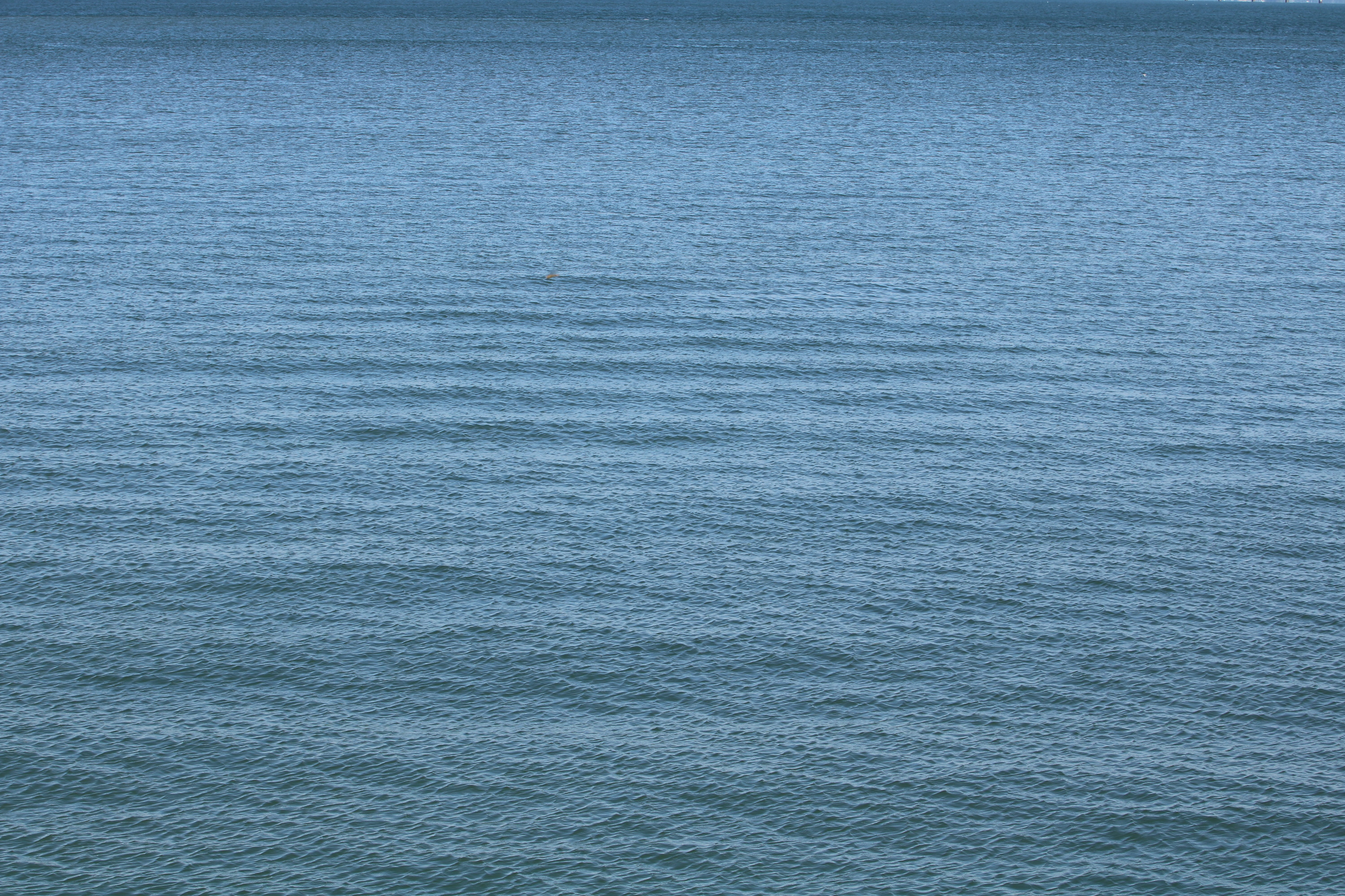 no people, close-up, waterfront, blue, background, peaceful, gray, water, day, sea, blank, coastal, textured effect, rippled, wave pattern, tranquility, HD Wallpaper