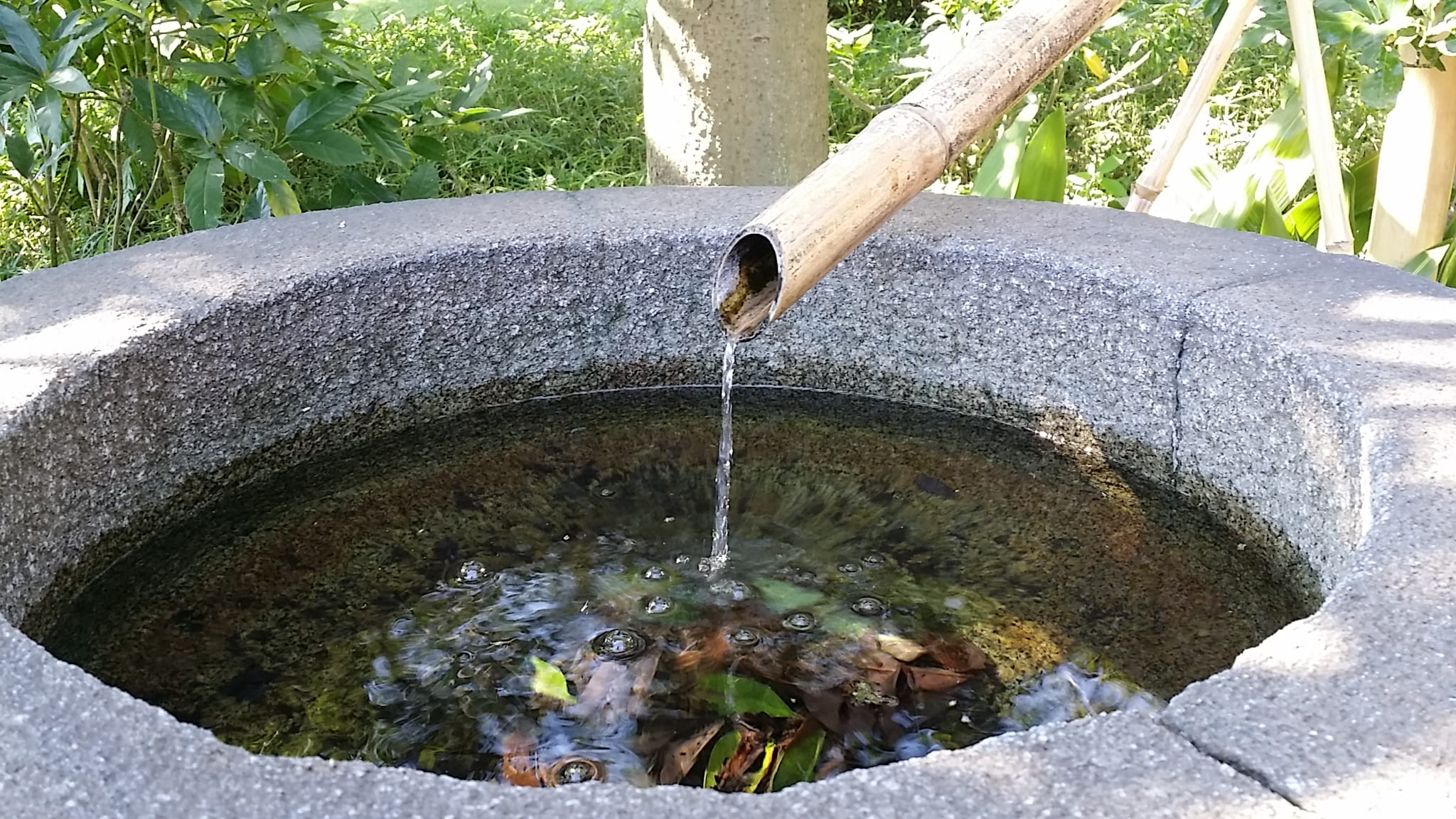 result, fair, drinking fountain, pipe - tube, tree trunk, fountain, day, pouring, outdoors, spring water, 1080P, tree, effort, bamboo - material, no people, HD Wallpaper