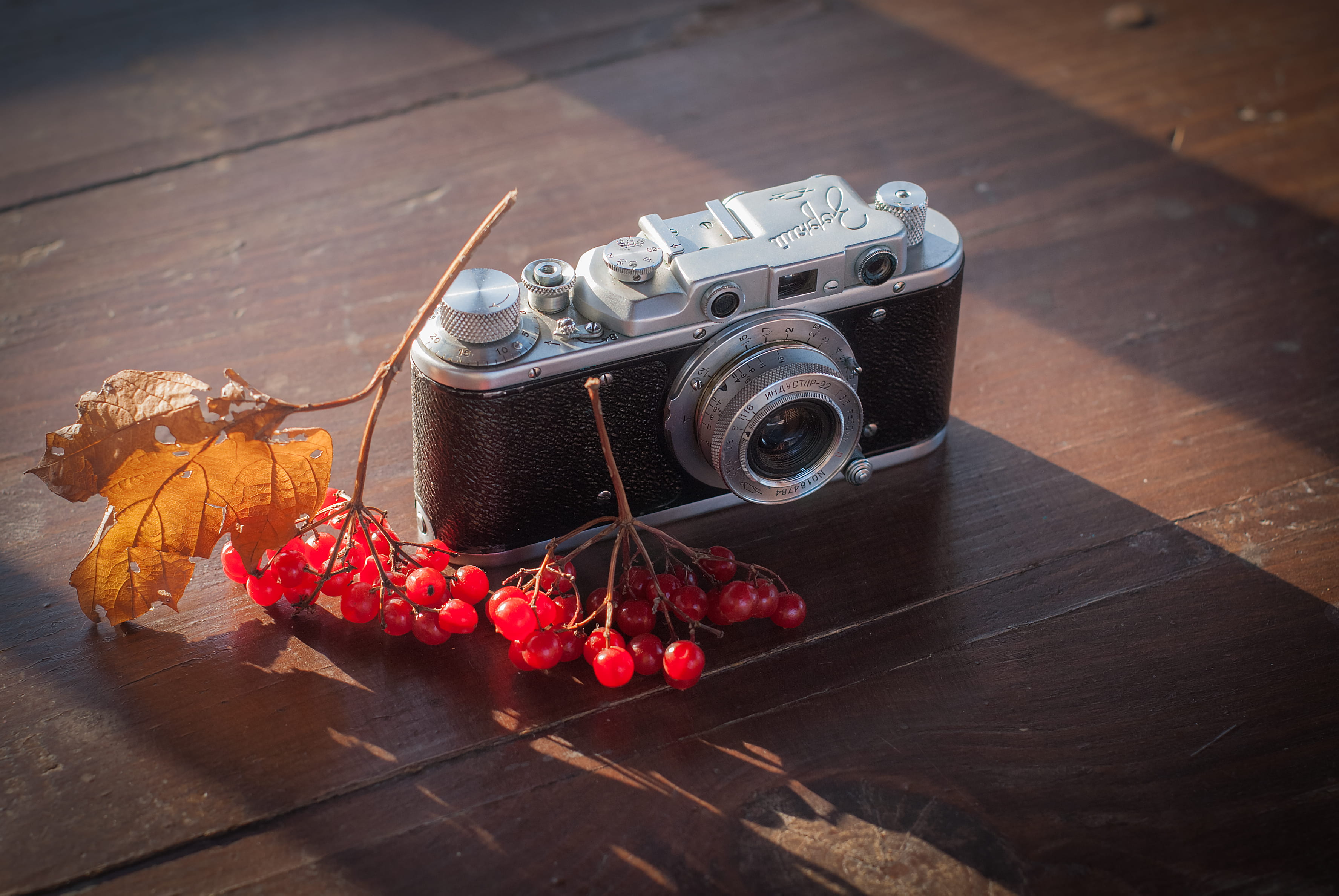 table, zorkiy, 2K, digital camera, electronics, camera lens, cherry, food, close-up, wood, fruit, food and drink, berry fruit, raspberry, old camera, hardwood, HD Wallpaper