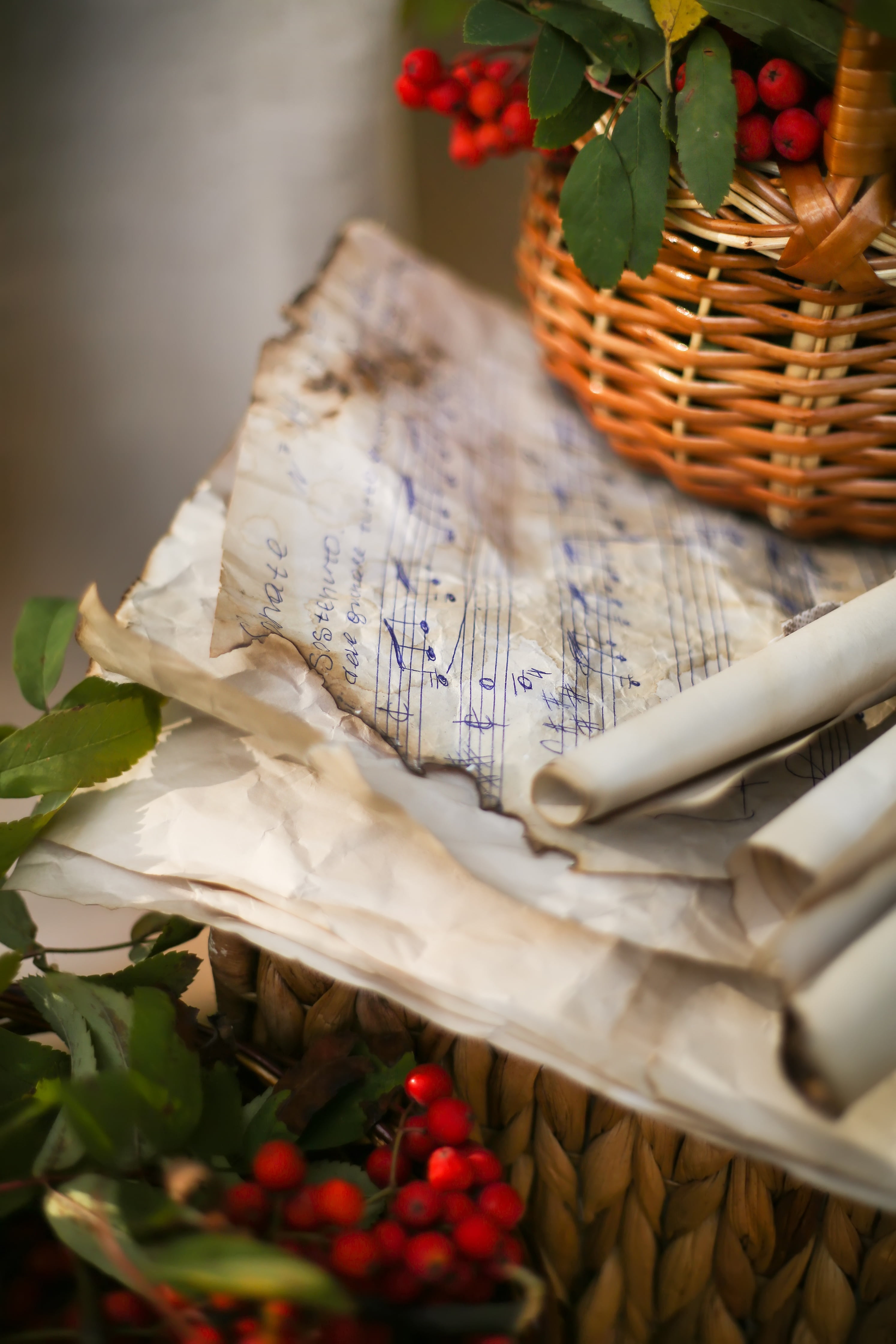 vitamin, fresh, burned, seasonal, no people, sheet, close-up, tree, still life, semi, plant part, summer, freshness, music, basket, rowan, garden, ash, Phone HD Wallpaper