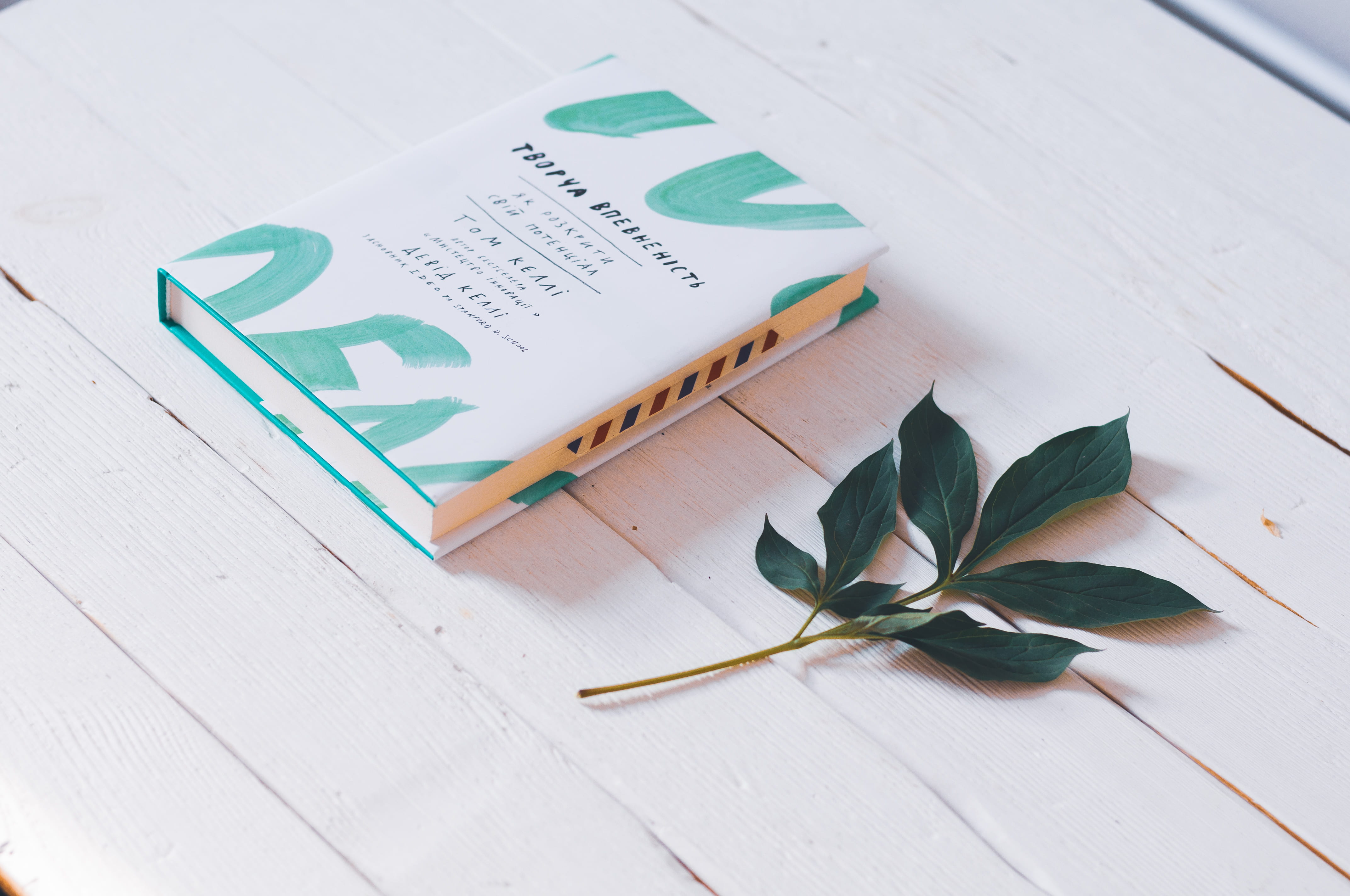 diary, white, open, creative, background, education, indoors, closed, no people, close-up, flat lay, publication, green, leaf, table, plant part, nature, HD Wallpaper