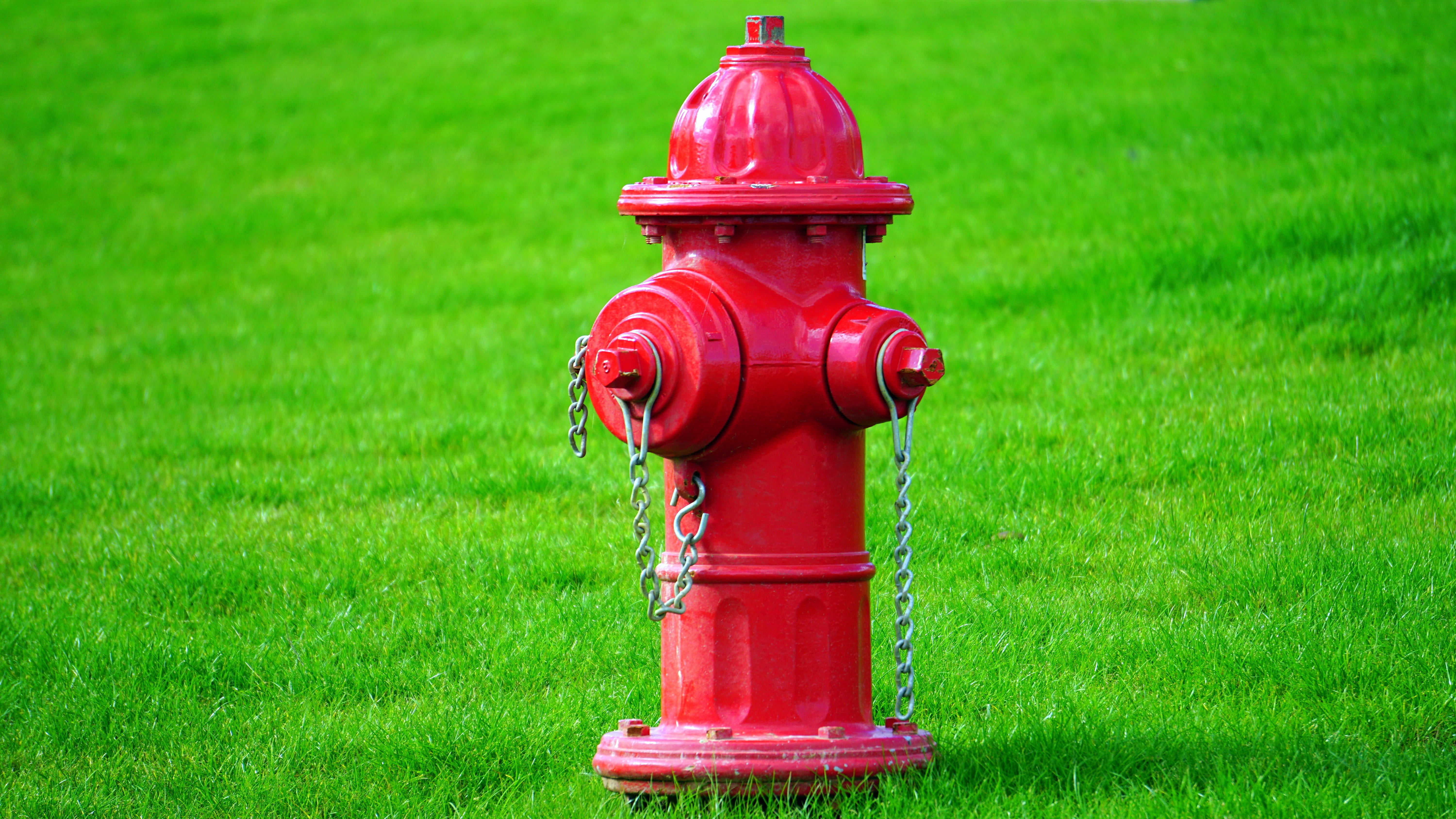 accidents and disasters, fire, pipe, fire hydrant, metal, field, communication, equipment, land, green, water, safety, grass, red, hydrant, focus on foreground, HD Wallpaper