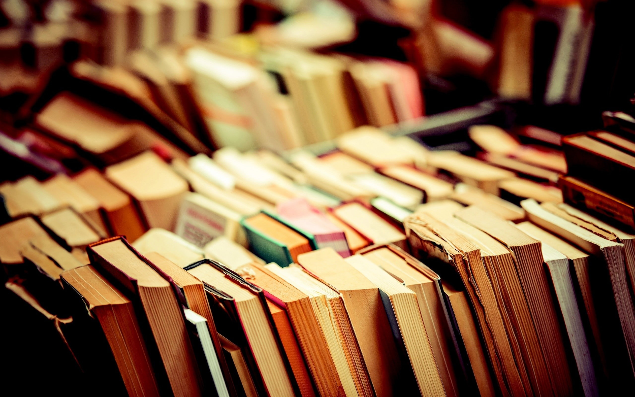 education, 2K, paper, in a row, book, order, collection, no people, focus on foreground, close-up, shelf, books, indoors, still life, choice, selective focus, HD Wallpaper