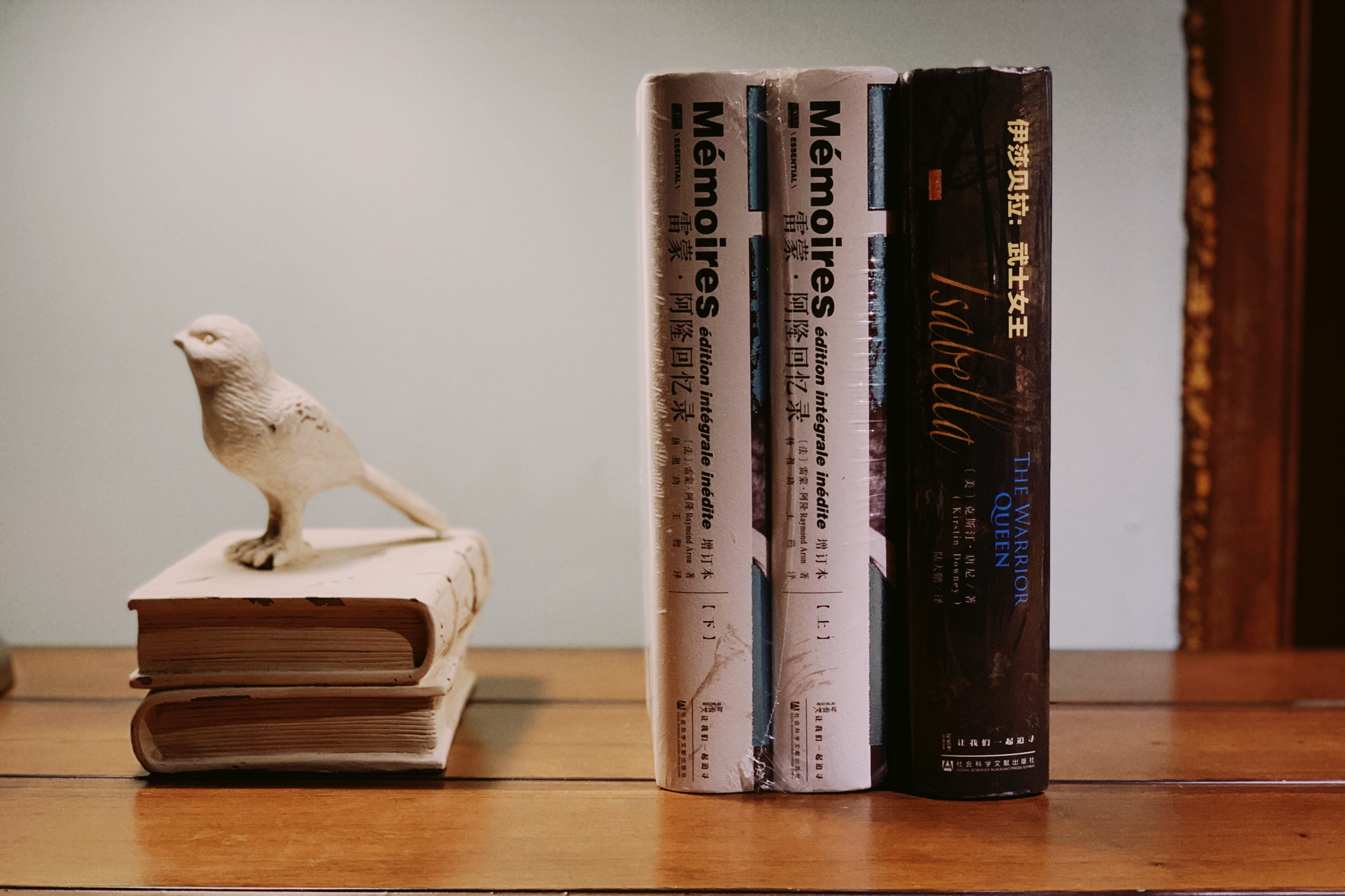 china, desk, animal, animal representation, no people, full length, plywood, 243 yangzhong rd, bird, indoors, text, vertebrate, book, mammal, publication, HD Wallpaper