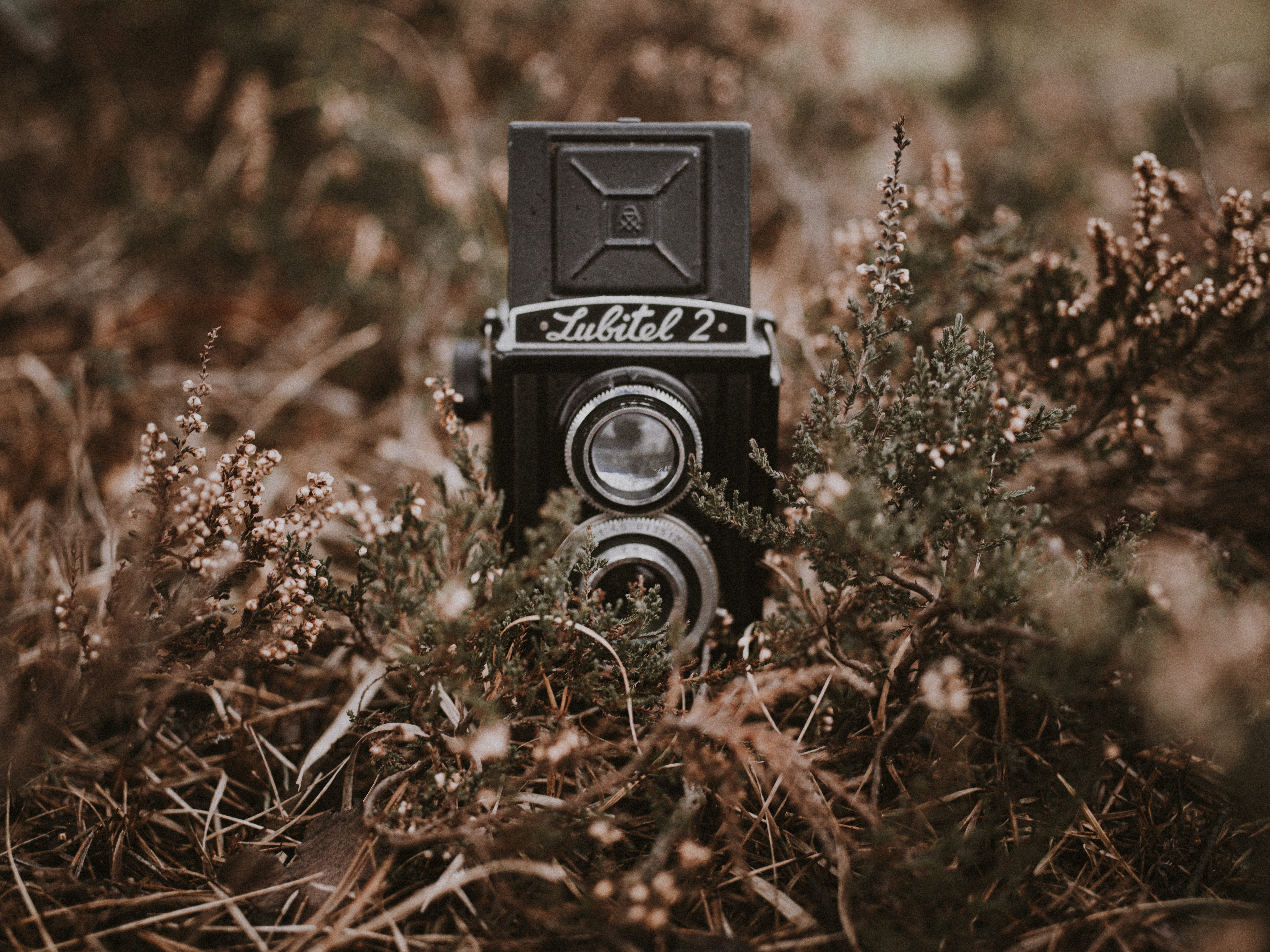 land, grass, retro styled, tree, locomotive, day, camera, lock, digital camera, photography themes, selective focus, 5K, logo, trademark, focus on foreground, HD Wallpaper