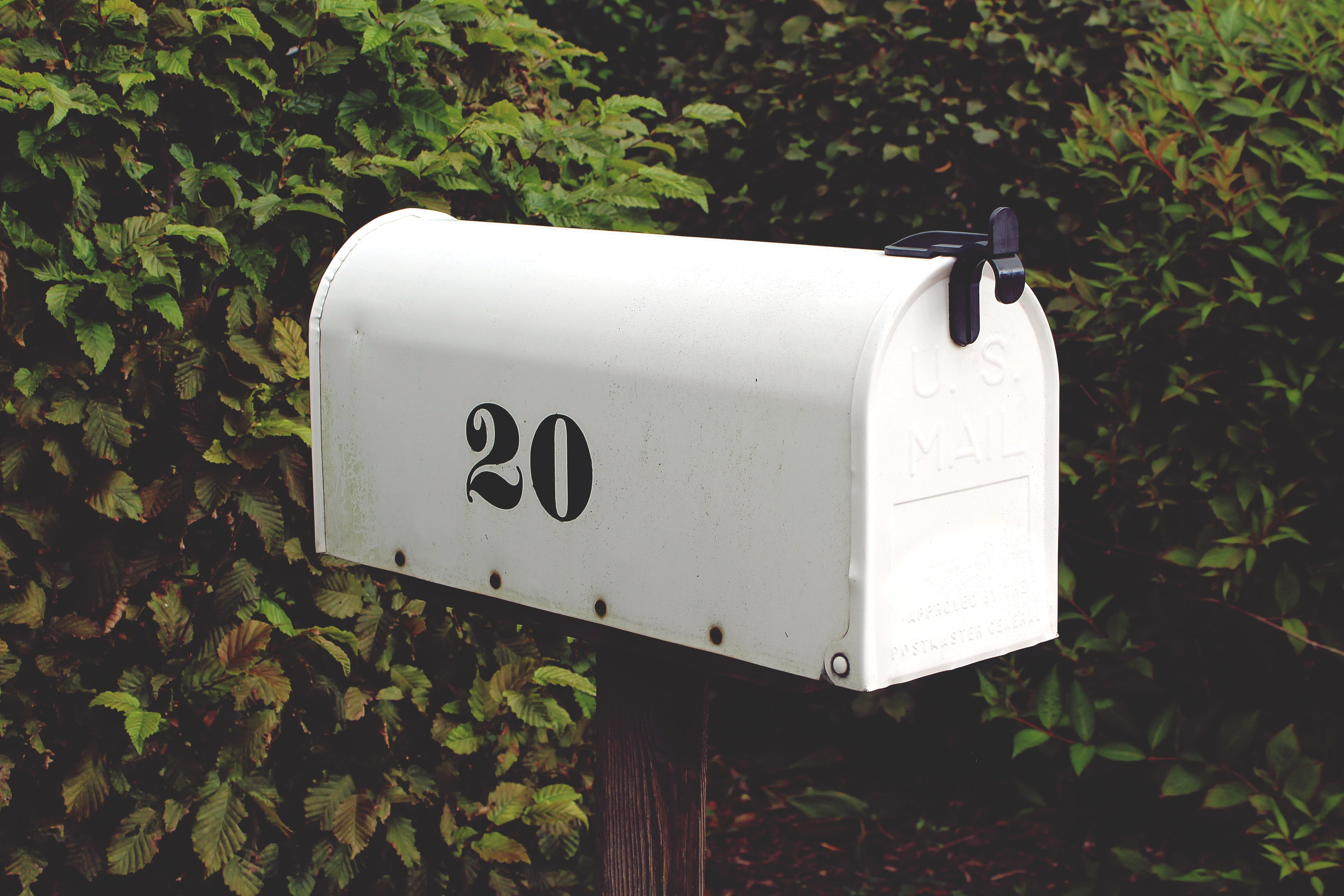 sign, mailbox, mail, inbox, green plants, plant part, black, message, no People, growth, send, 4K, gray, green, leaves, metal, plant, plants, green color, HD Wallpaper