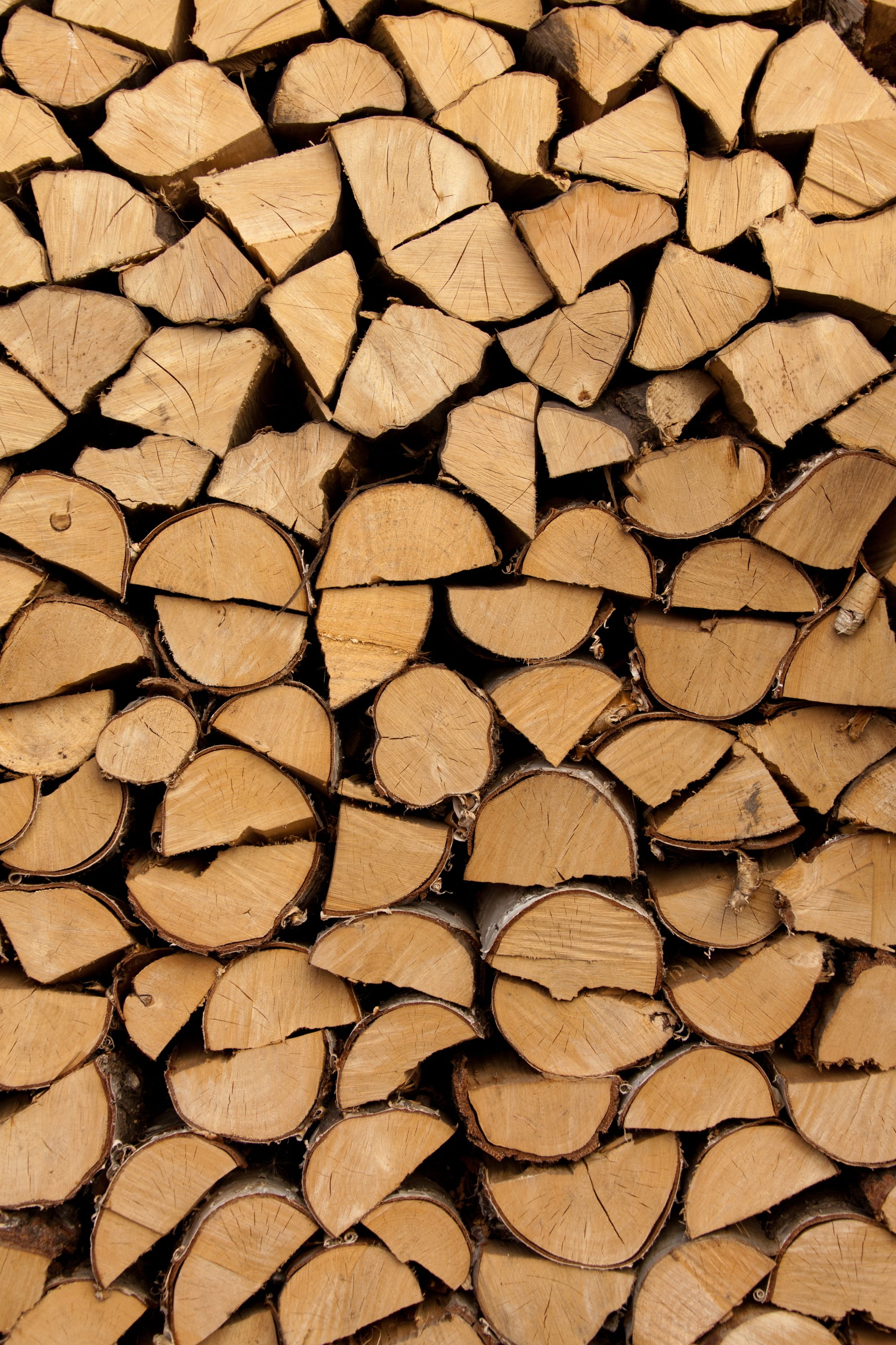 timber, backgrounds, sunlight, deforestation, stack, closeup photography, full frame, stacked, 2K, log, lumber industry, wood, abundance, cut, material, Phone HD Wallpaper