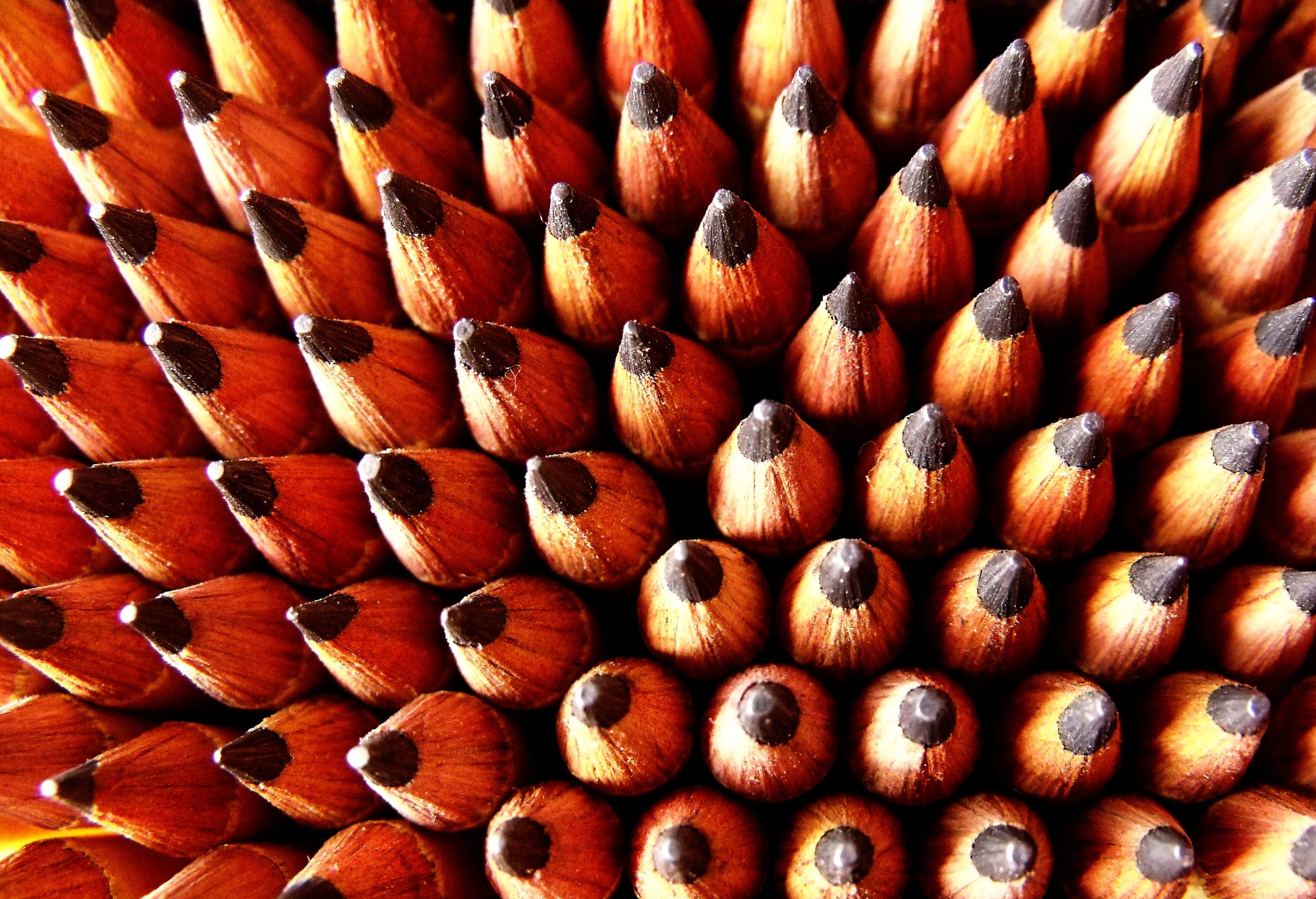 backgrounds, textured, selective focus, design, pattern, close-up, large group of objects, full frame, day, supplies, photography, brown, many, arrangement, HD Wallpaper