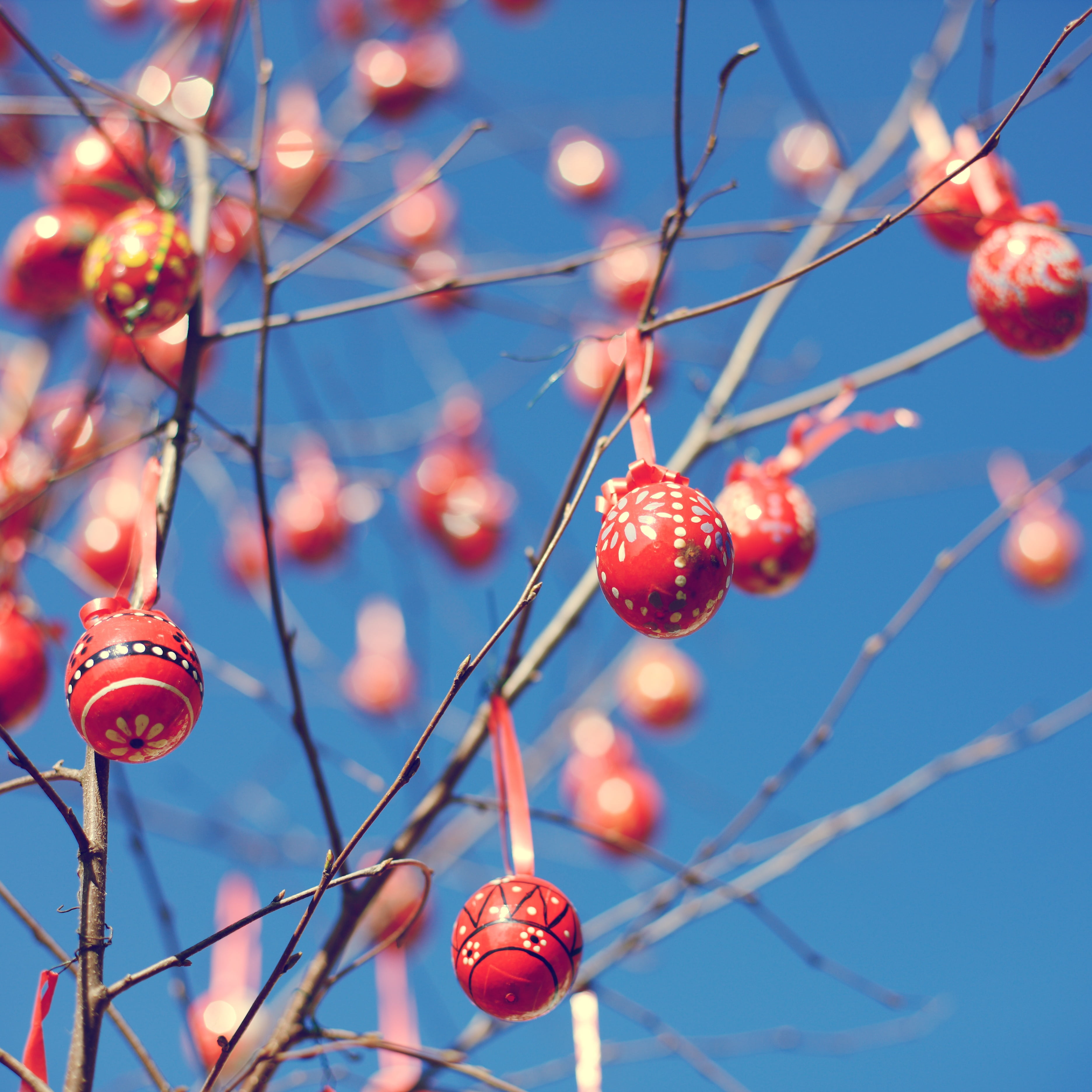 easter eggs, food, berry fruit, oval, striped, hanging, egg, day, outdoors, bauble, colored egg, custom, balls, celebration, tree, branch, twig, 2K, spring, Phone HD Wallpaper