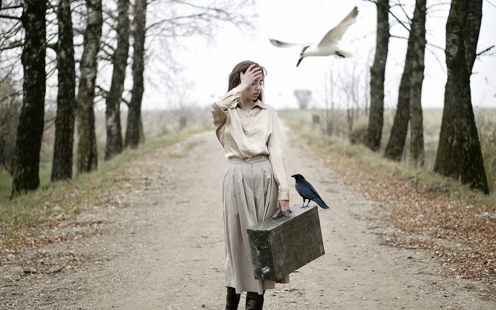 brunette, birds, suitcase, women outdoors, women, animals, trees, 720P, HD Wallpaper