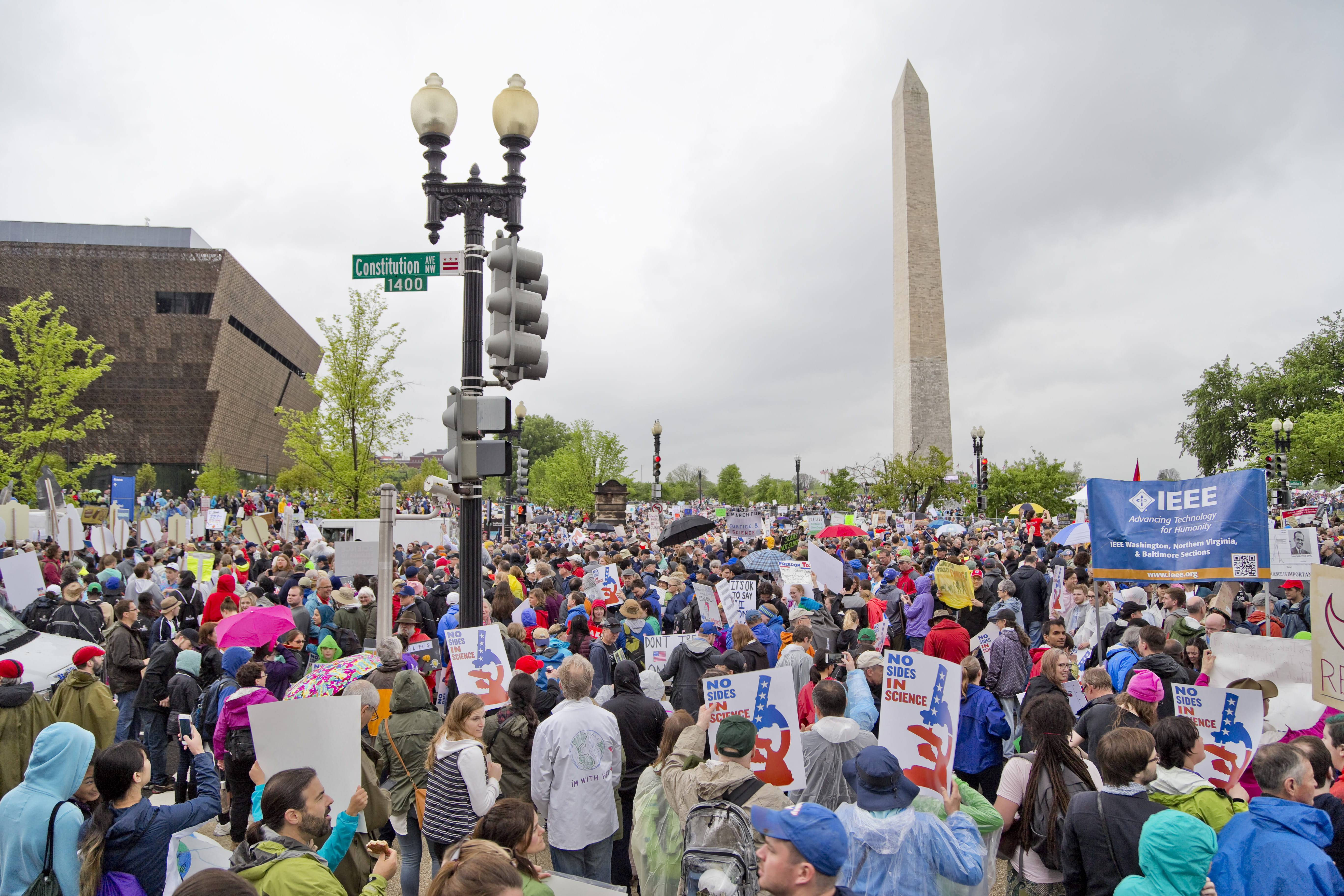 people, rally, outdoors, nature, united states, plant, northwest washington, lifestyles, crowd, tall - high, tourism, travel destinations, city, architectural column, HD Wallpaper