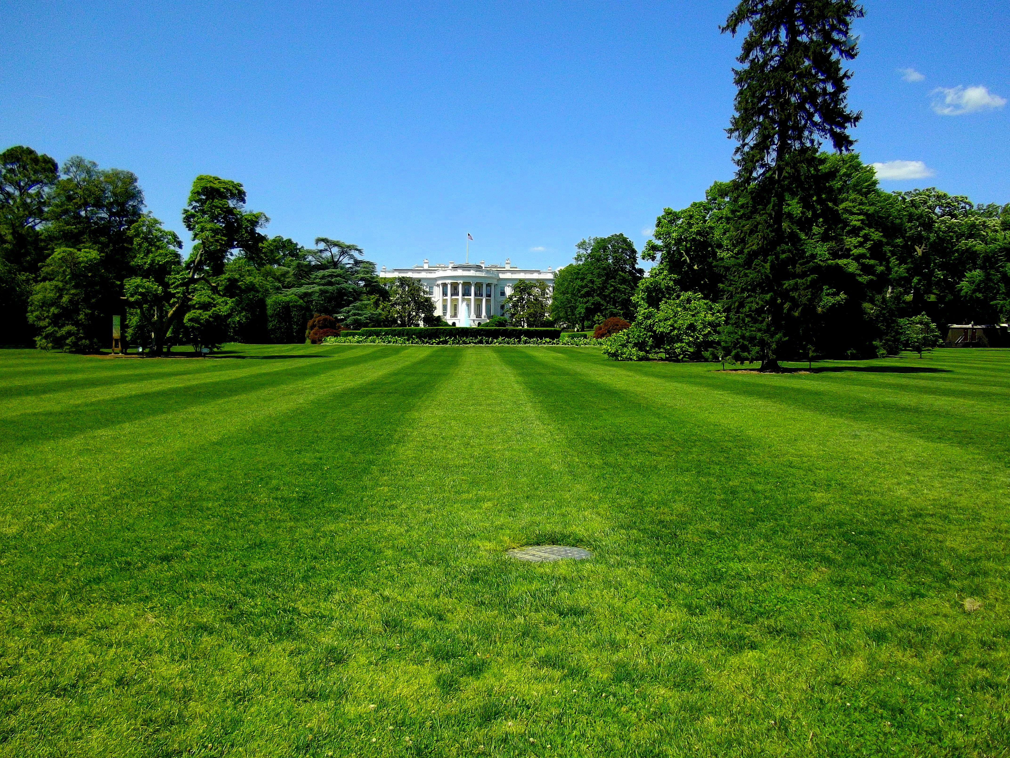 4K, land, white house, beauty in nature, day, house, tree, sky, summer, america, washington, green, usa, blue, power, building exterior, nature, landmark, HD Wallpaper