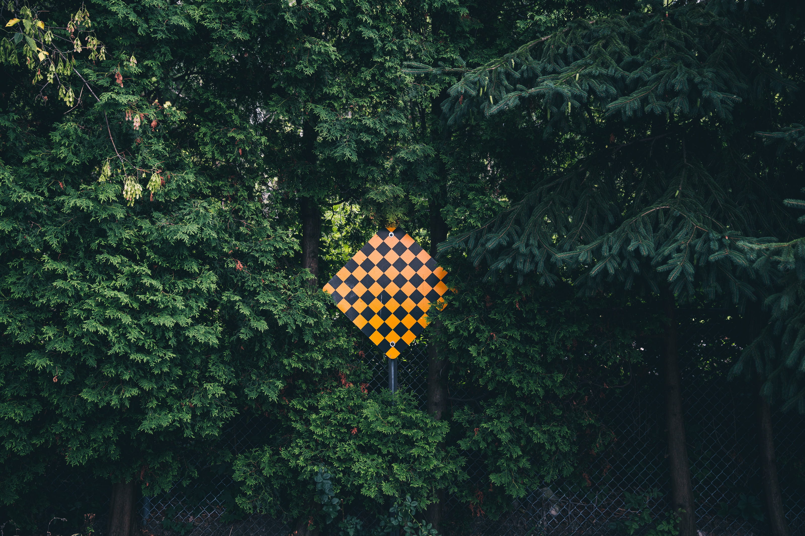 surrounded, black, green color, symbol, end, foliage, direction, hanging, green, meadow, bright, outdoors, sign, forest, multi colored, flowering plant, HD Wallpaper