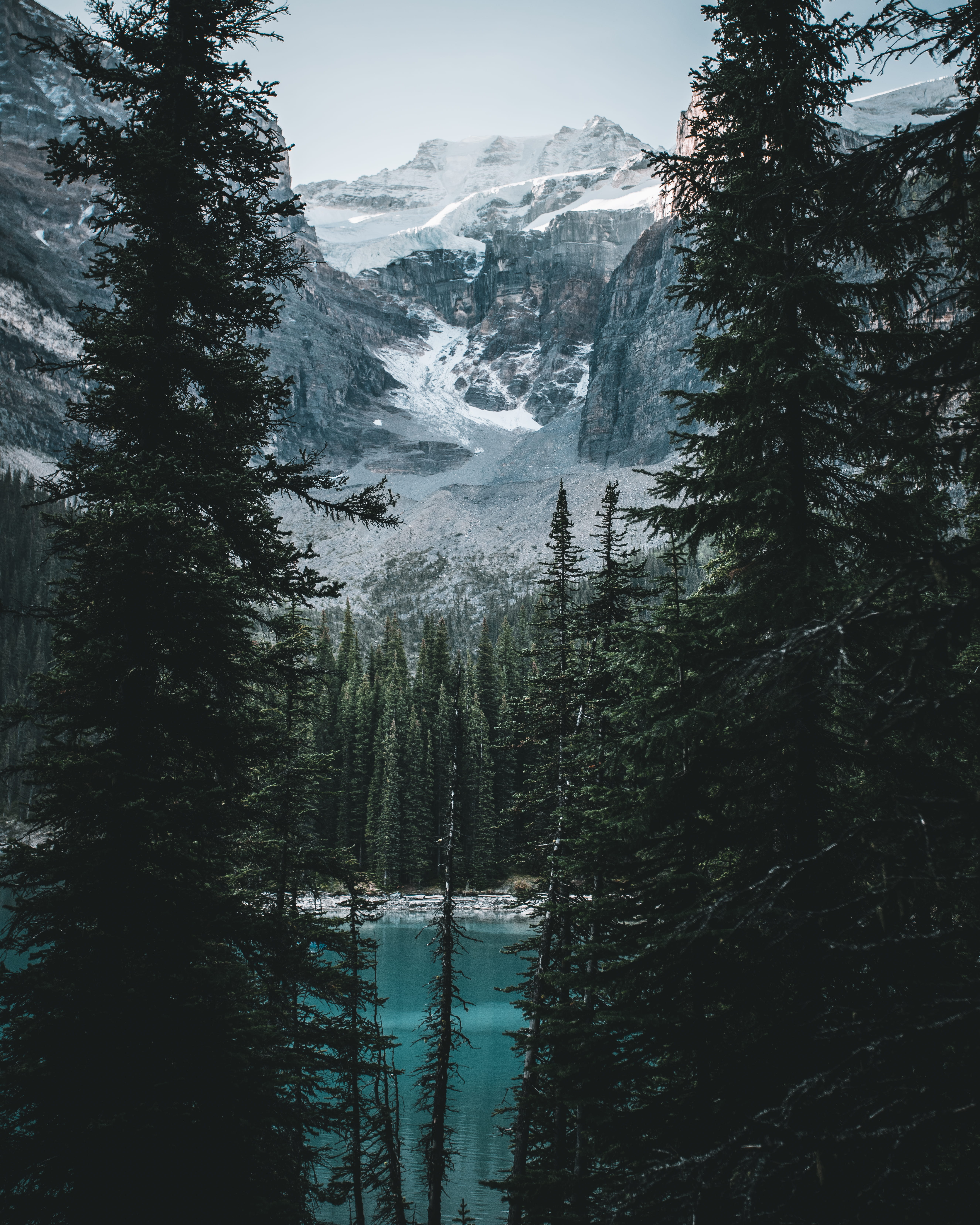 no people, gray, high, lake, winter, plant, foggy, cold, mountain peak, coniferous tree, flowing water, beauty in nature, ice, white, cornflakes, 5K, mountain, Phone HD Wallpaper