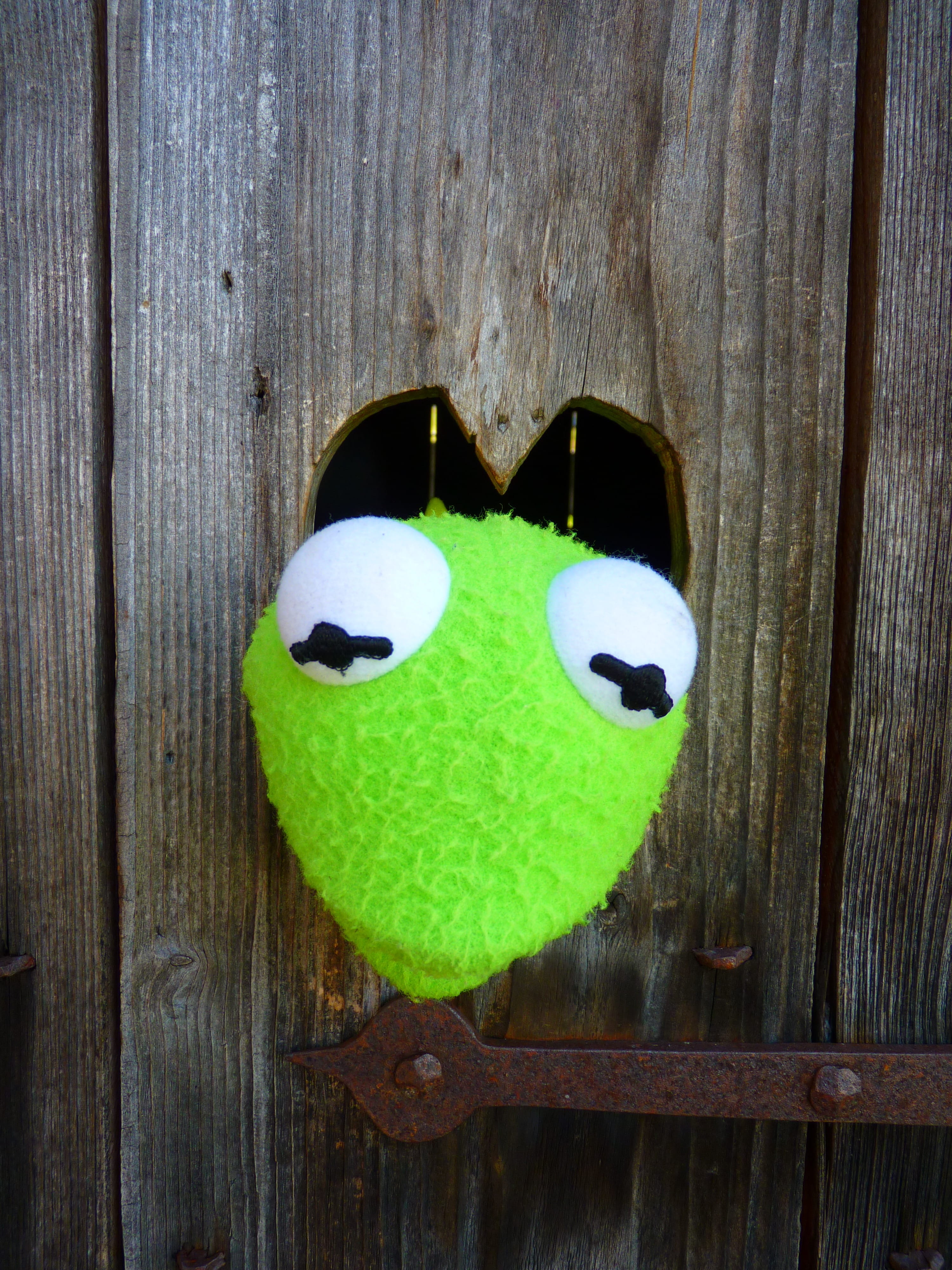 Kermit, indoors, face, creativity, wood, stuffed toy, green, green color, Frog, 4K, heart shape, wood - material, Doll, still life, anthropomorphic smiley face, Phone HD Wallpaper