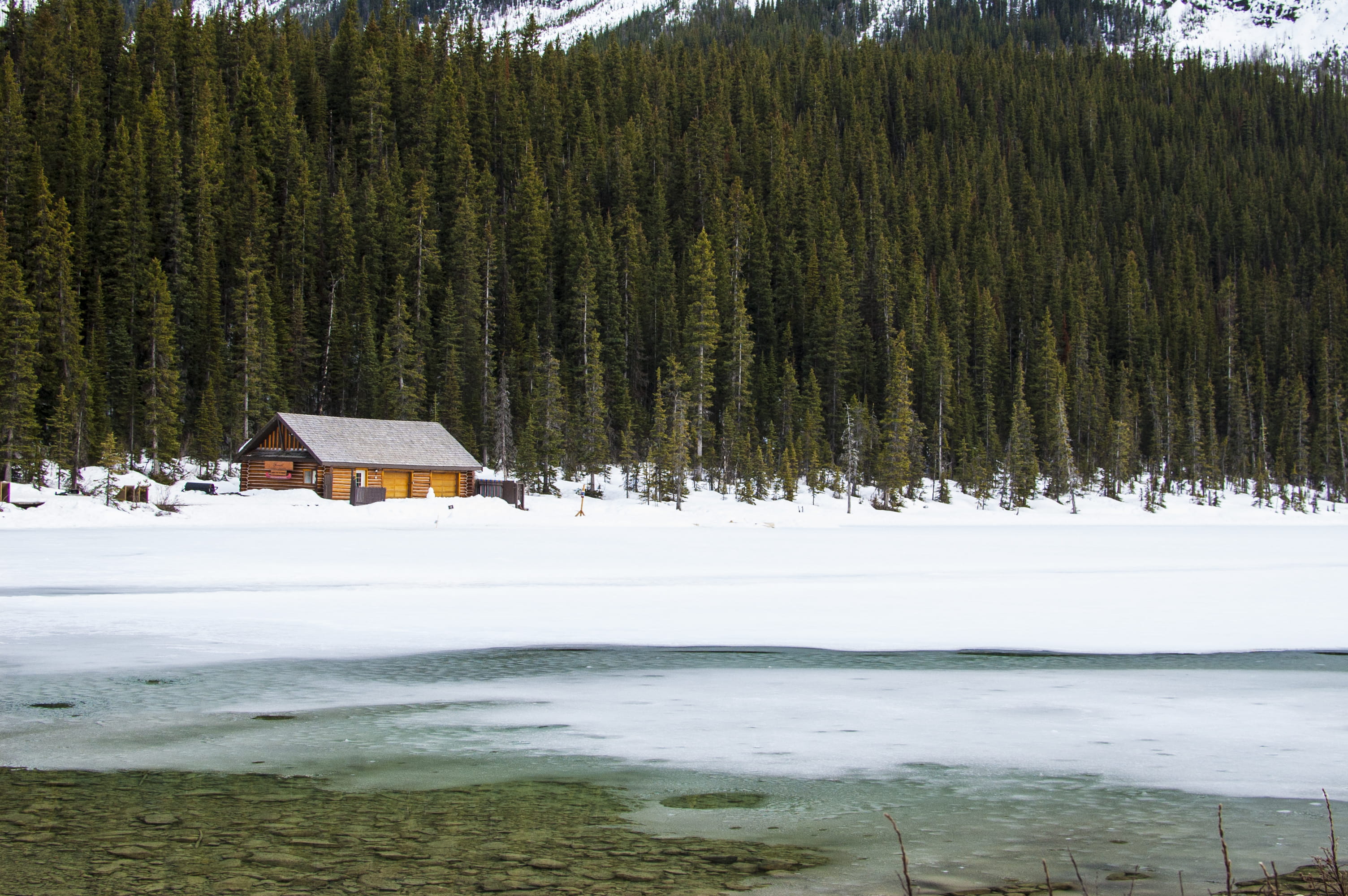 tree, lake, architecture, growth, house, tranquility, cabin, leaf, outdoors, brown, wooden, scenics, built structure, covered, plant, near, sky, cold temperature, HD Wallpaper