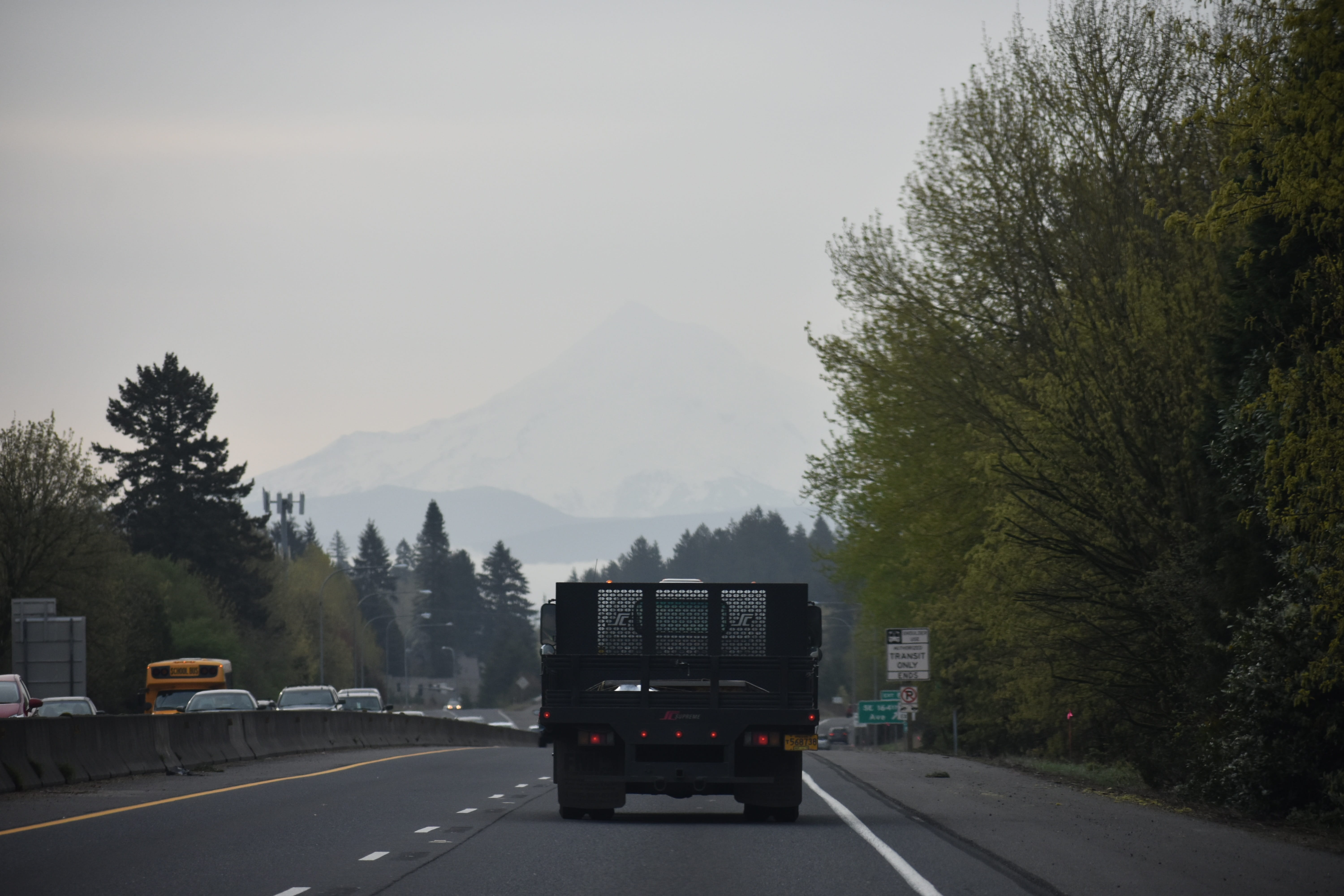 day, 5K, dealer, mode of transportation, transportation, plant, the way forward, automotive, sky, semi-truck, road trip, motion, land vehicle, on the move, HD Wallpaper