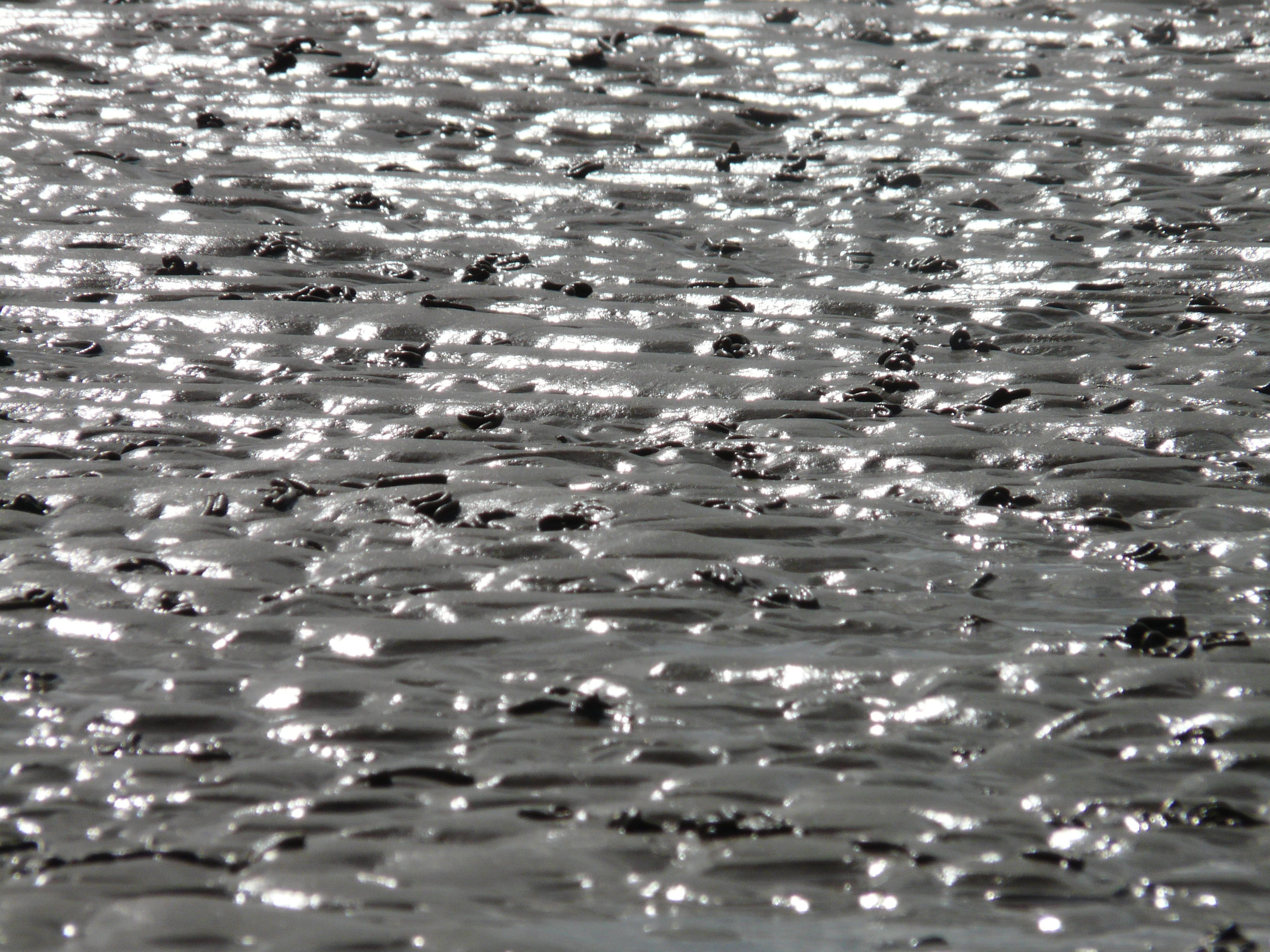 no people, 2K, selective focus, water, sand, reflection, nature, world natural heritage, coasts, national park, sunlight, waterfront, pattern, watt worm pile, HD Wallpaper