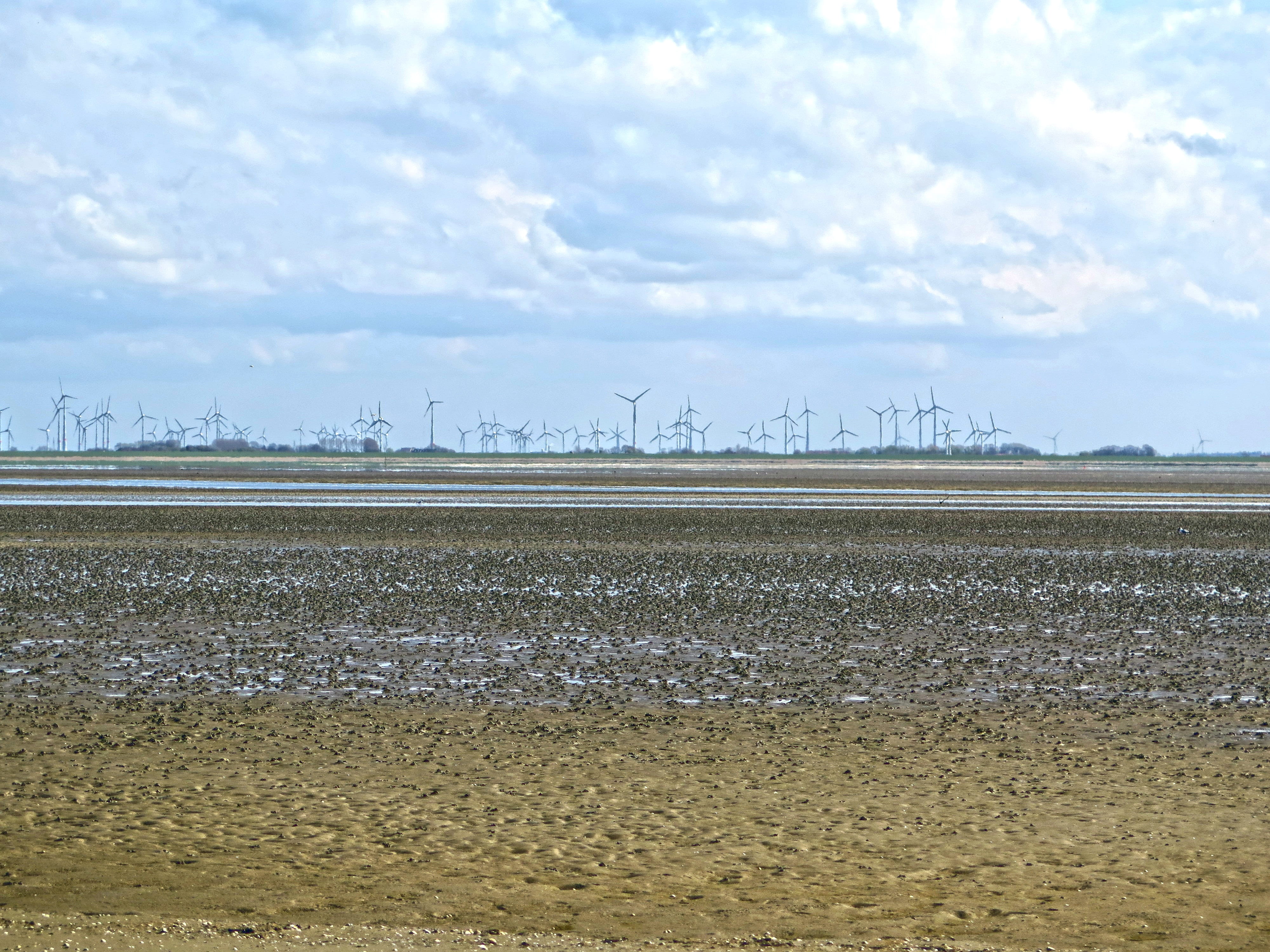 environment, germany, mecklenburg, sand watt, windräder, environmental conservation, agriculture, sea, Ebb, tranquility, schlick, sky, cloud - sky, North Sea, HD Wallpaper