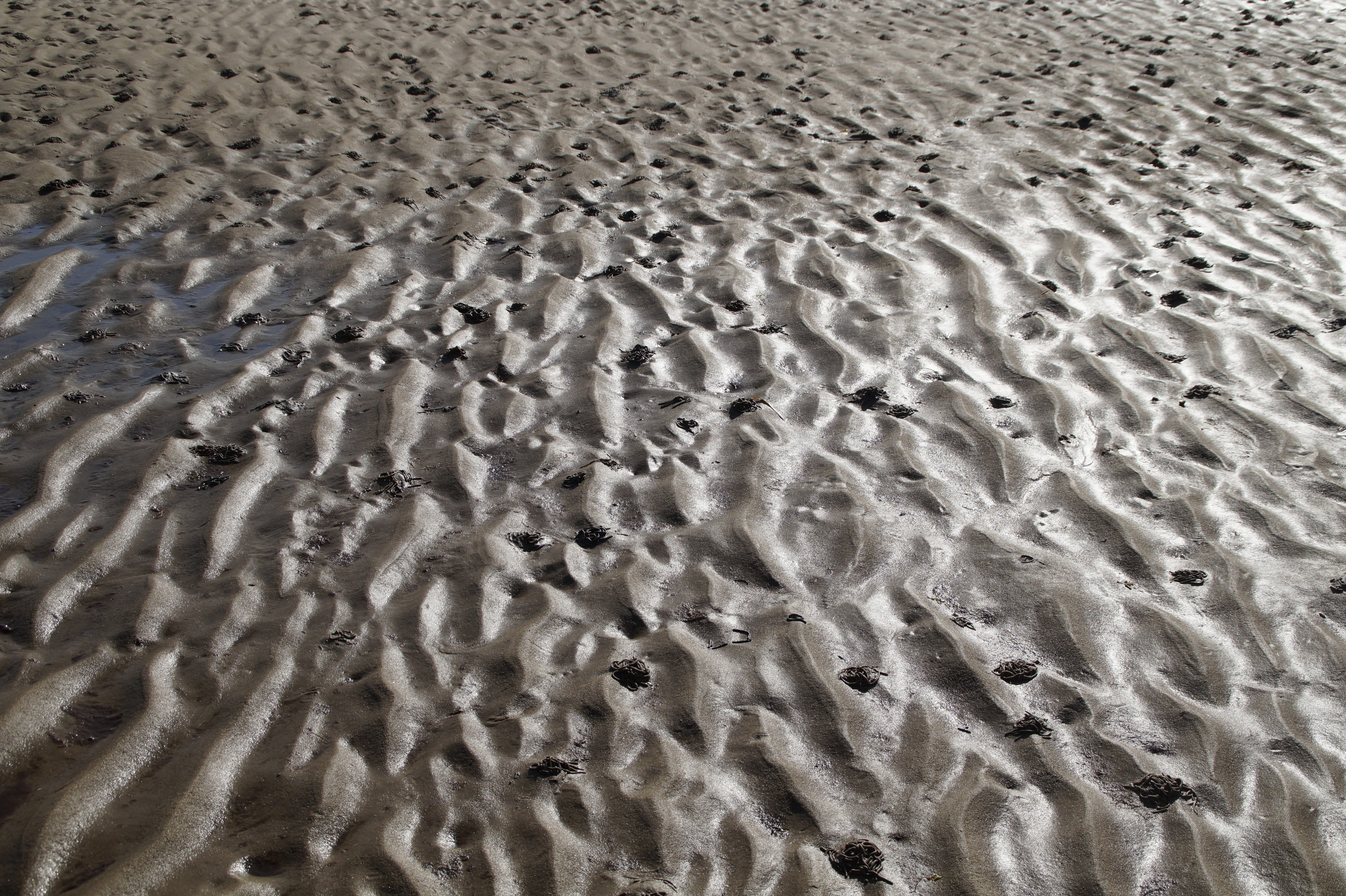 low tide, outdoors, no people, 5K, background, coast, day, land, mud, tranquil scene, backgrounds, beach, tranquility, water, close up, pattern, tides, HD Wallpaper