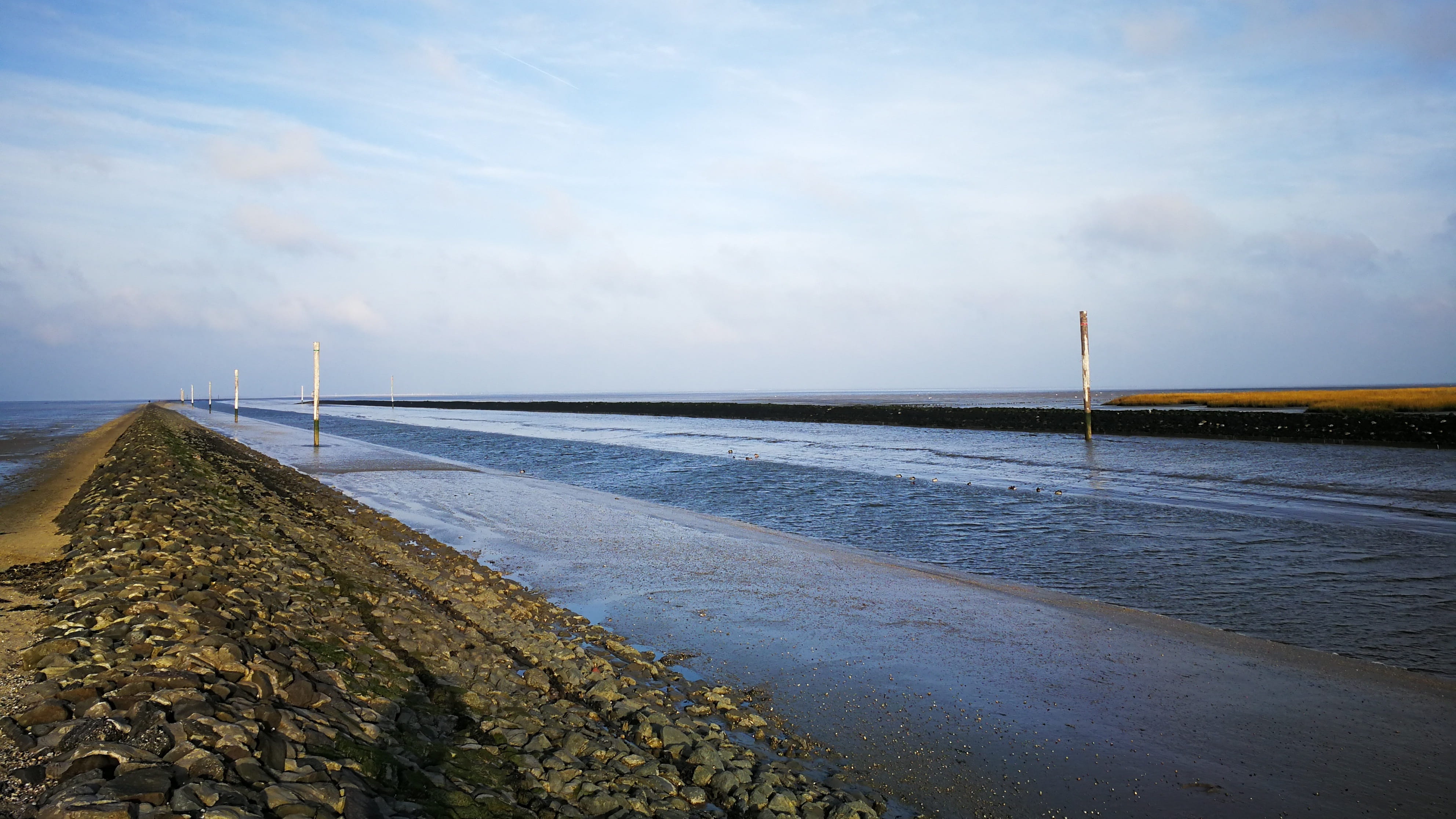 coastal landscape, water, no people, structures, outdoors, idyll, east frisia, wadden sea, relax, tranquil scene, mud, beauty in nature, spectacle of nature, HD Wallpaper