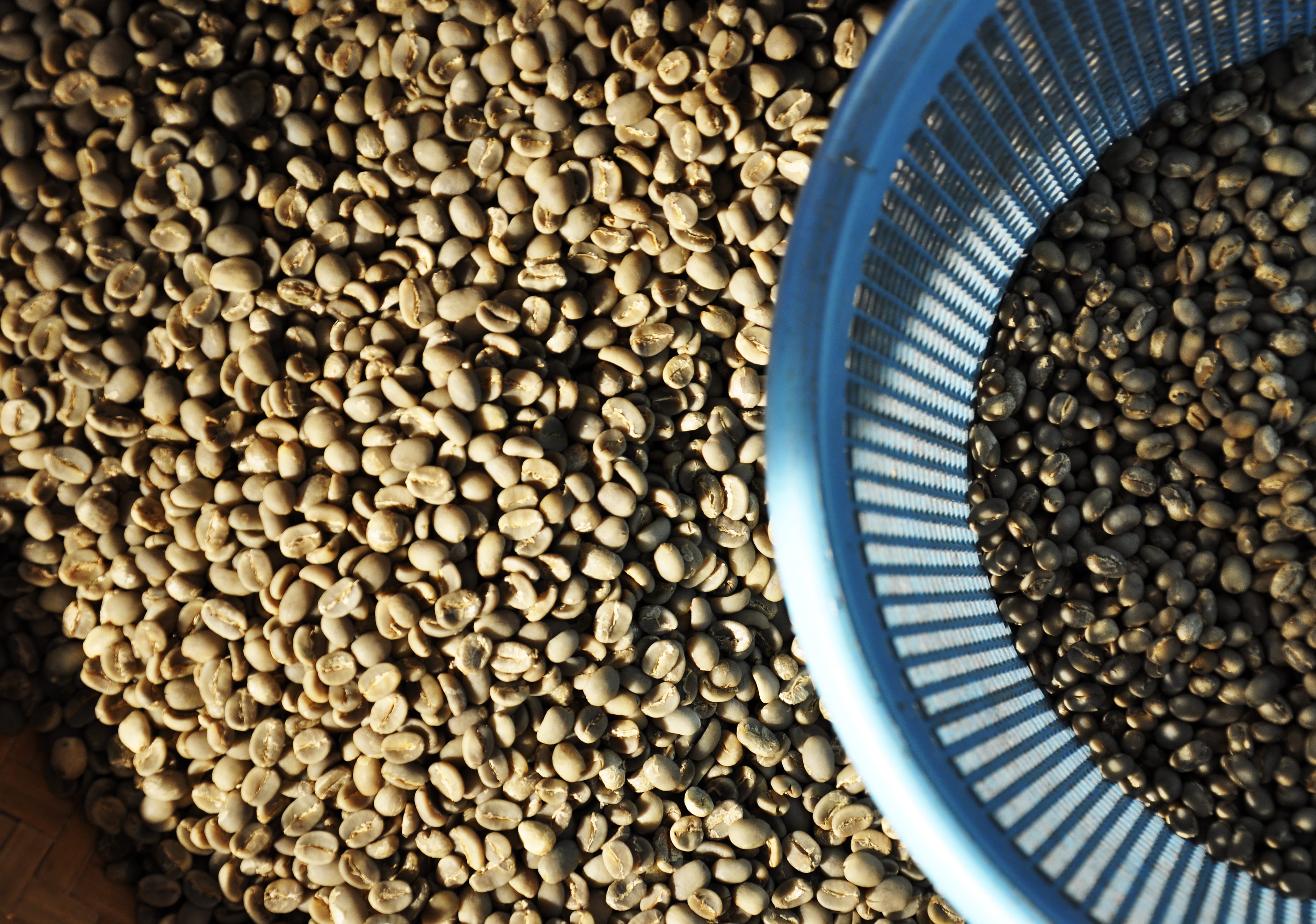 info toraja, food and drink, 4K, no people, market, sunset, coffee, beans, still life, container, pattern, seed, large group of objects, indonesia, freshness, HD Wallpaper