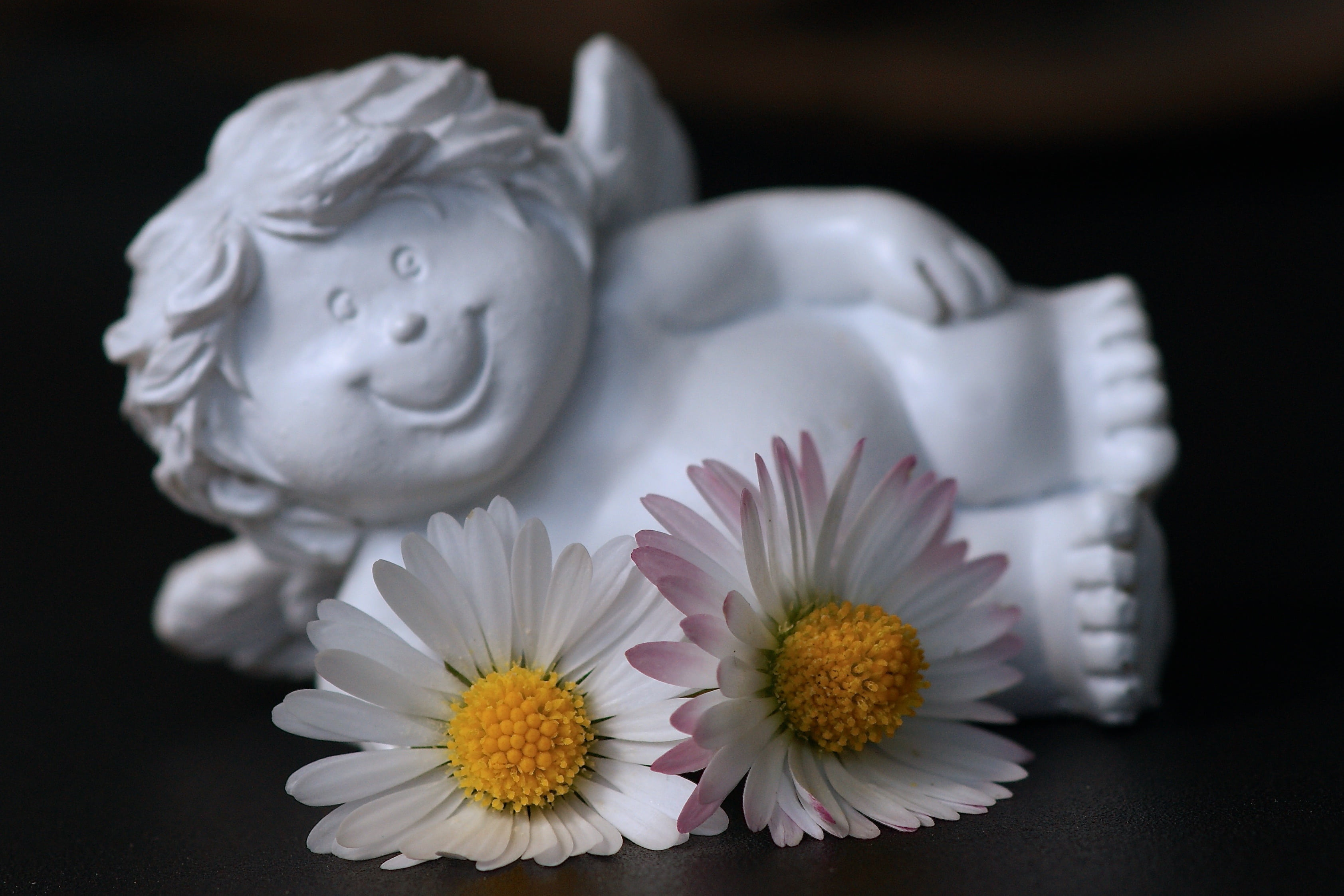angel, expense, common, no people, serene, daisies, delight, flowering plant, laugh, cheerful, smilies, food and drink, bloom, flower, nature, daisy, optimism, HD Wallpaper