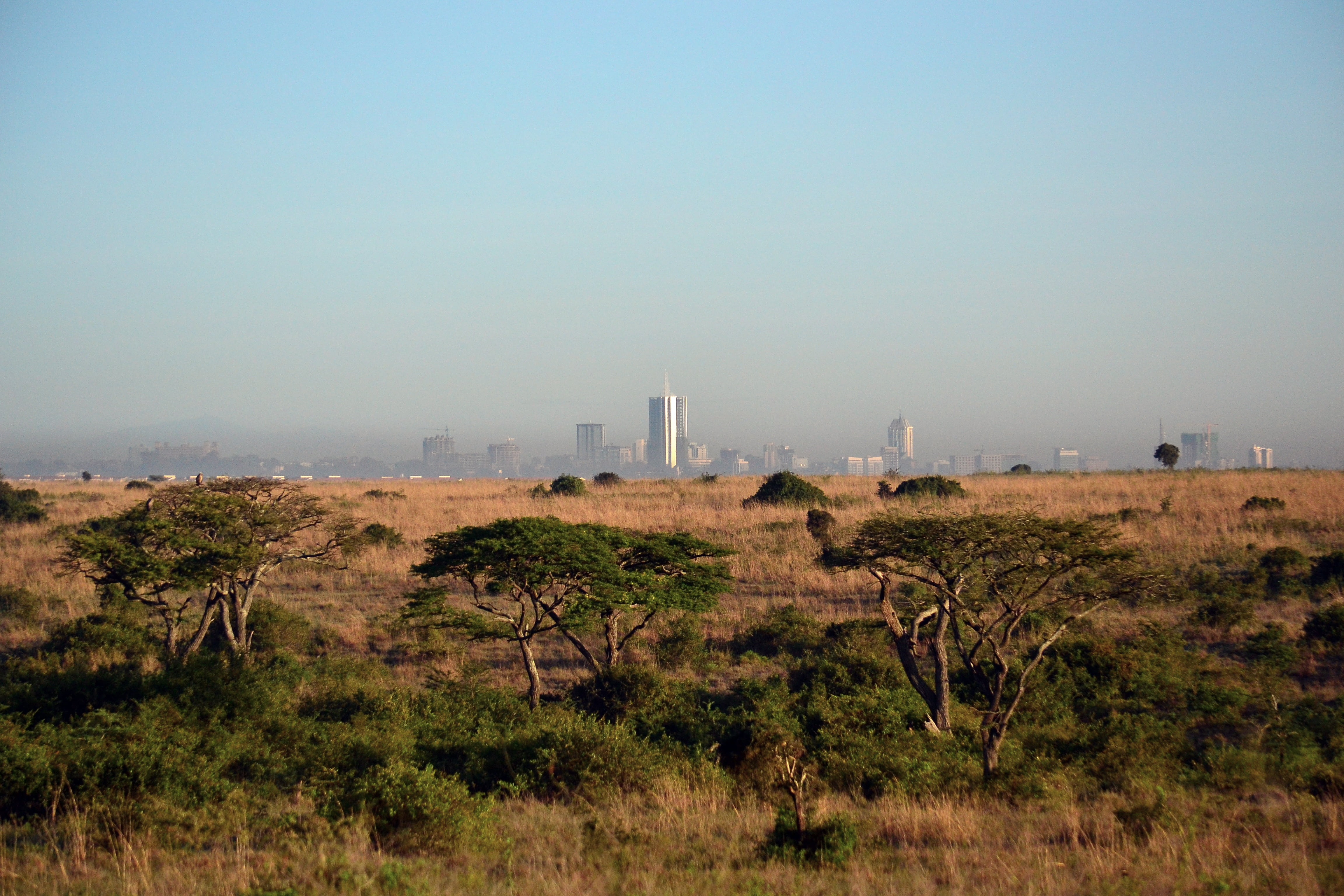 grass, tree, savanna, africa cityscape, fuel and power generation, plant, architecture, sky, nairobi, no people, environment, photography, non-urban scene, HD Wallpaper