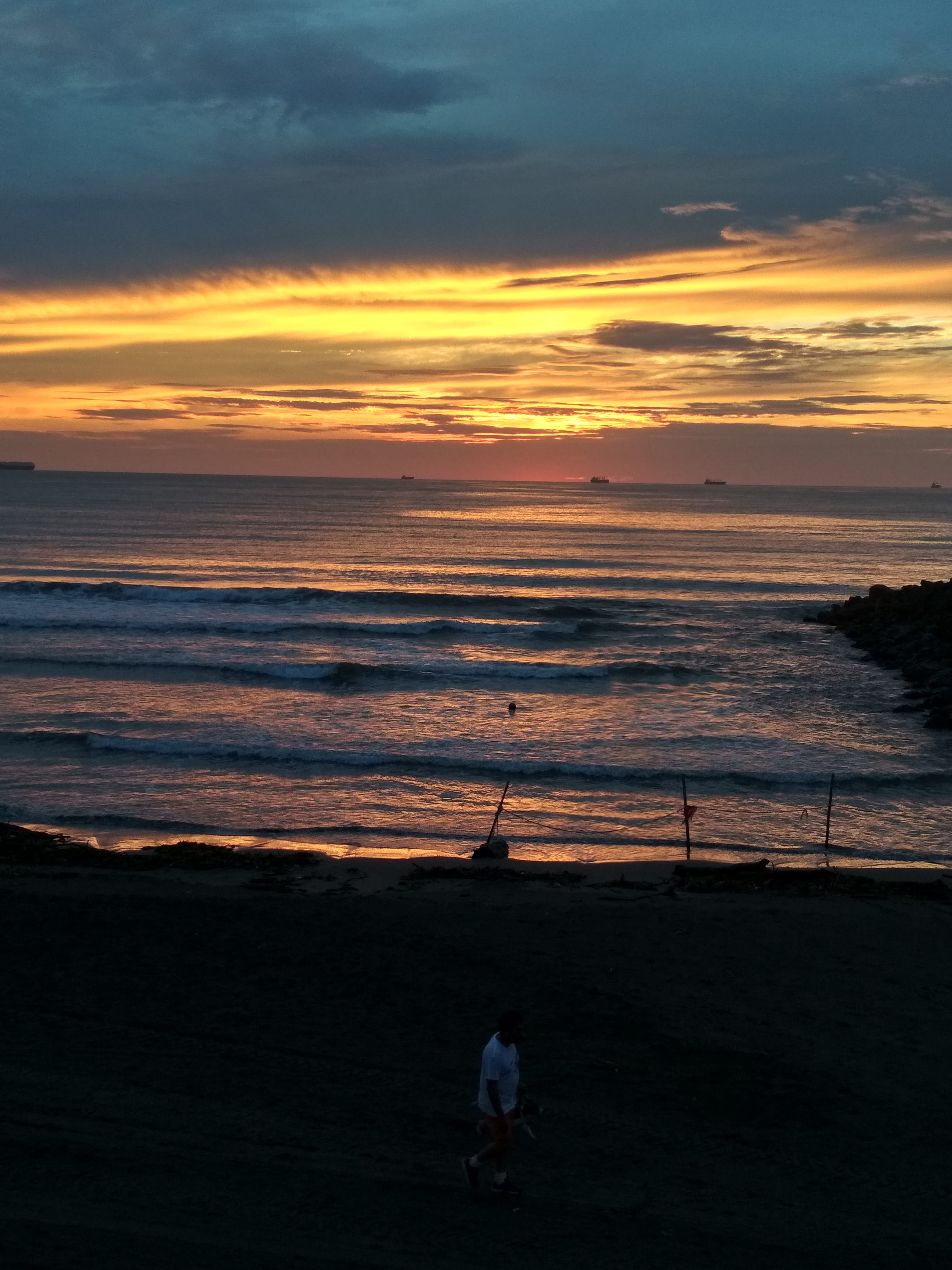 animal themes, mammal, half-light, al amanecer, domestic, pets, land, beach, scenics - nature, semidarkness, sky, heaven, nature, méxico, water, outdoors, Phone HD Wallpaper