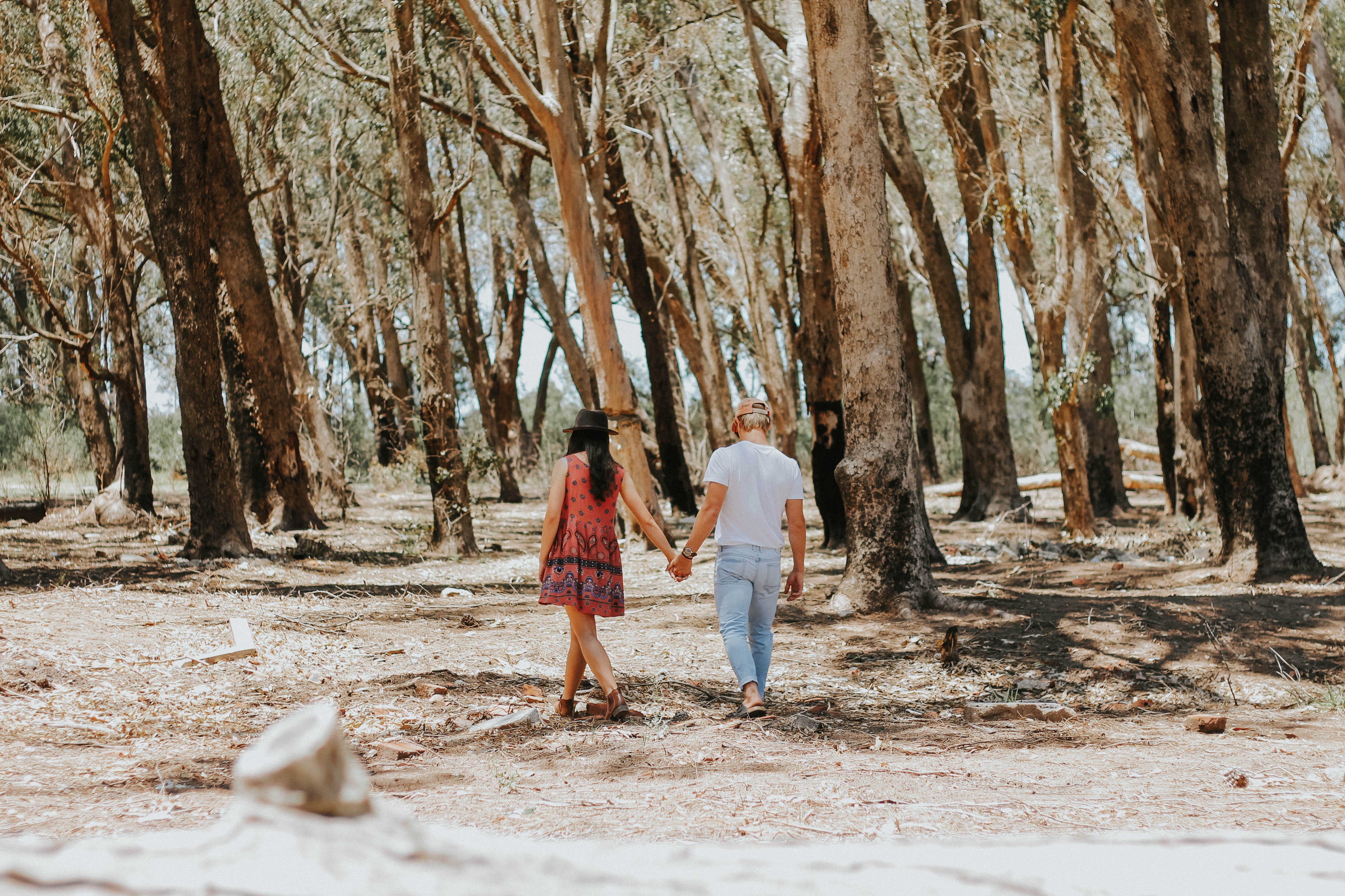 women, casual clothing, men, adult, two people, positive emotion, tree, 5K, daytime, near, hands, land, full length, togetherness, bonding, man, male, HD Wallpaper