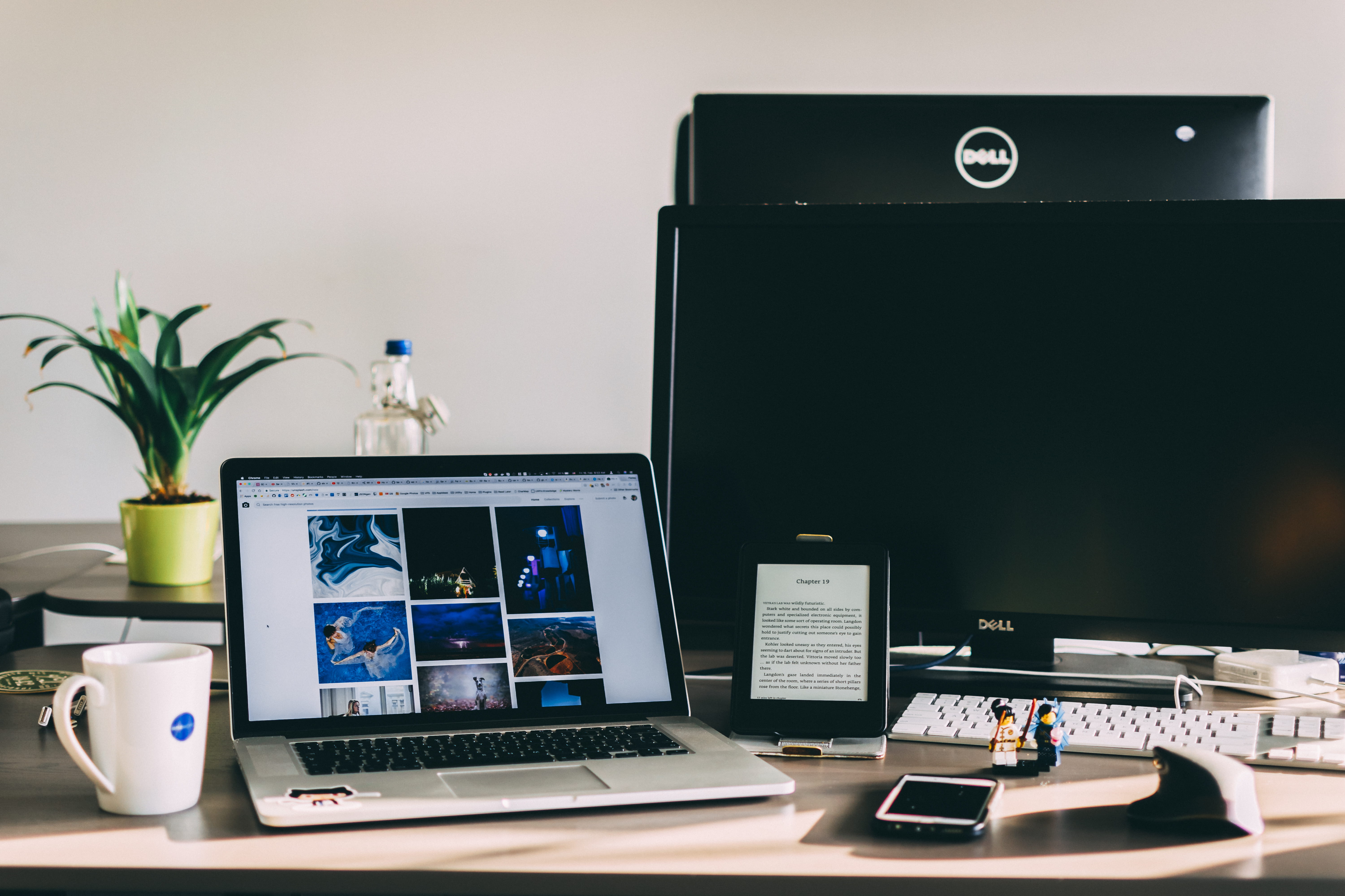 keyboard, equipment, connection, beside, technology, workspace, internet, near, flat, laptop, potted plant, indoors, monitor, table, plant, black, desk, HD Wallpaper