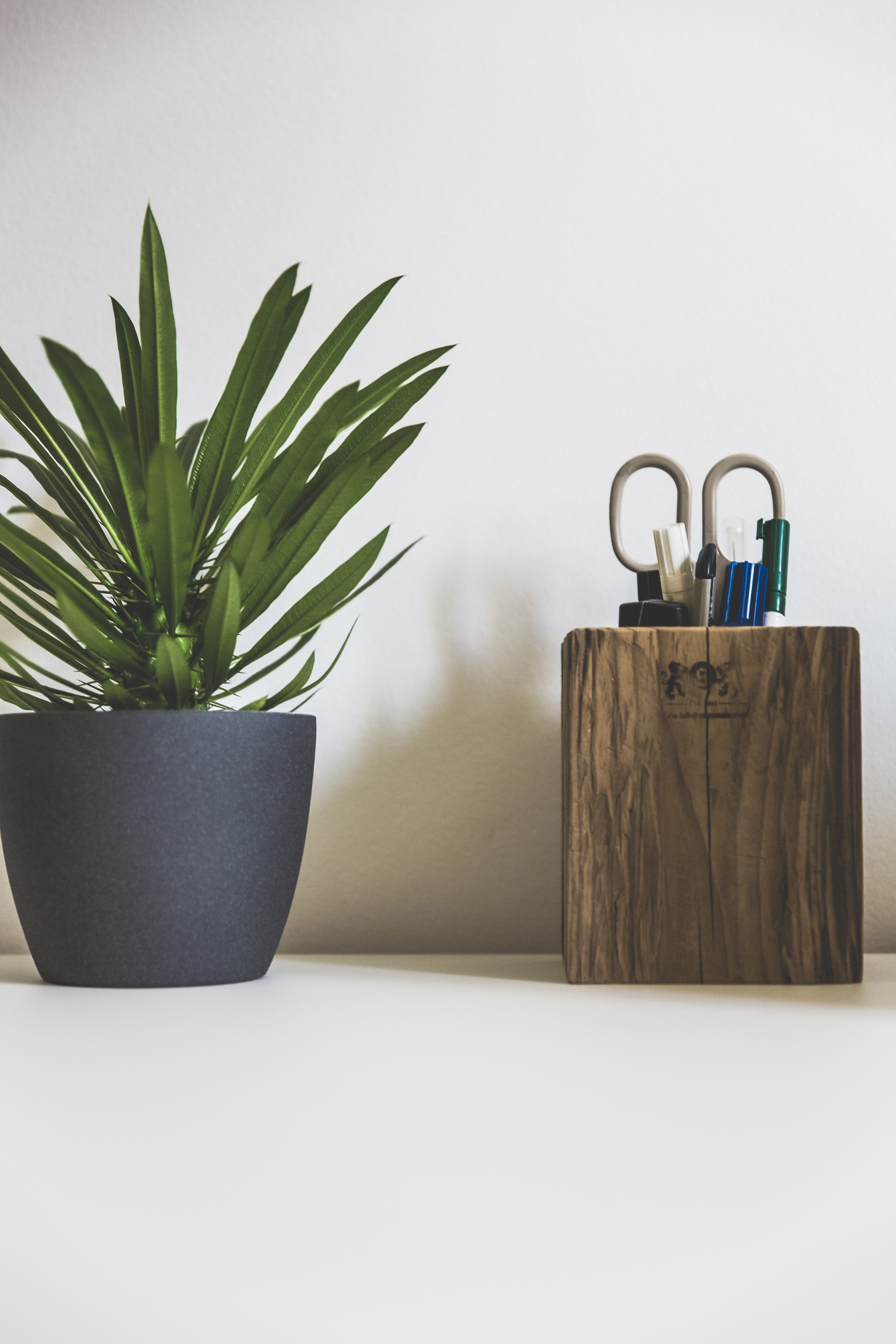 office, container, notebook, potted plant, houseplant, leaf, work, metal, time, wood, copy space, used look, cup, plant part, workstation, neourban, modern, Phone HD Wallpaper