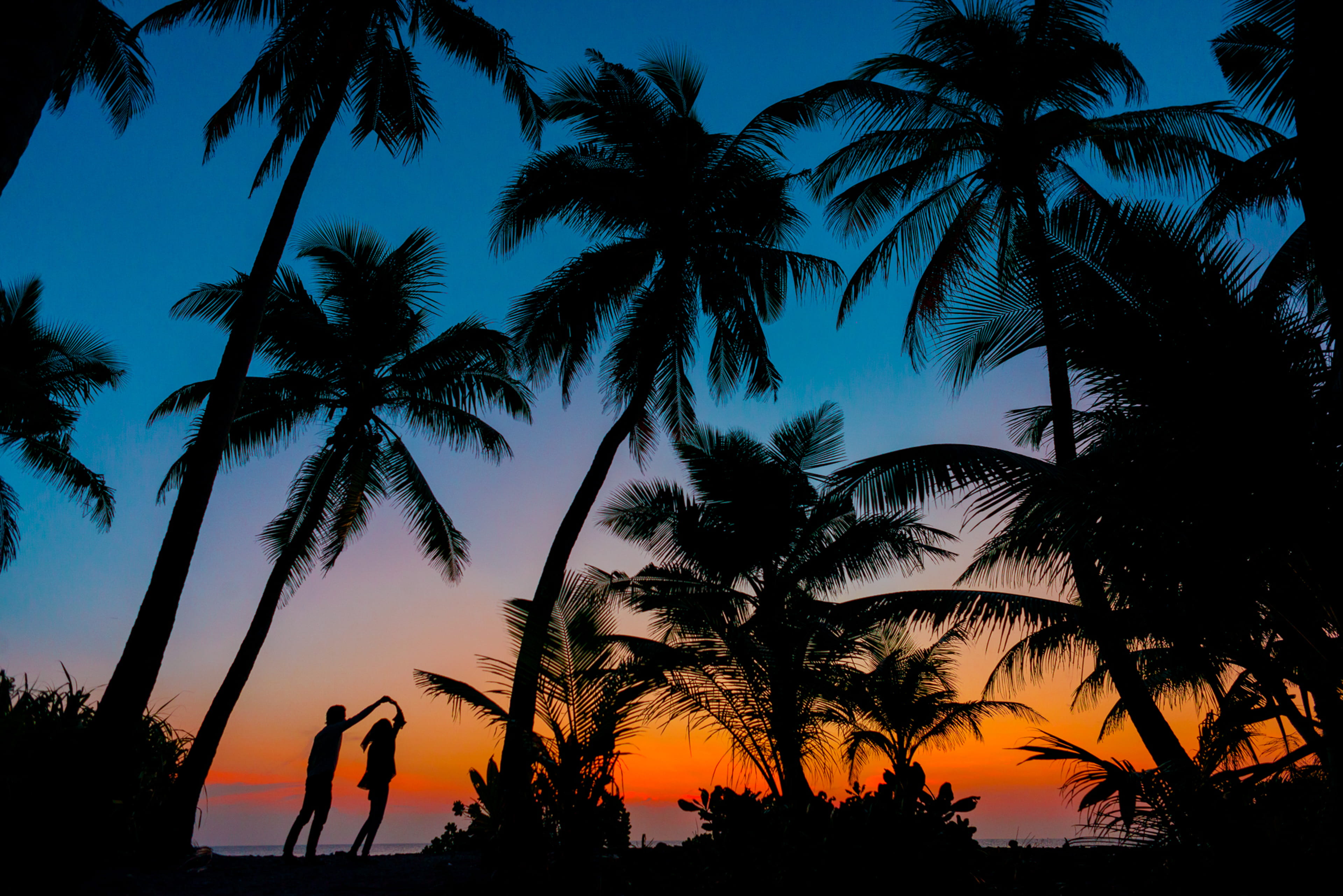 tranquil scene, idyllic, summer, beside, man, palm, young couple, tropical tree, honeymoon, Asad, couple, photography, ocean, outdoors, real people, evening, HD Wallpaper