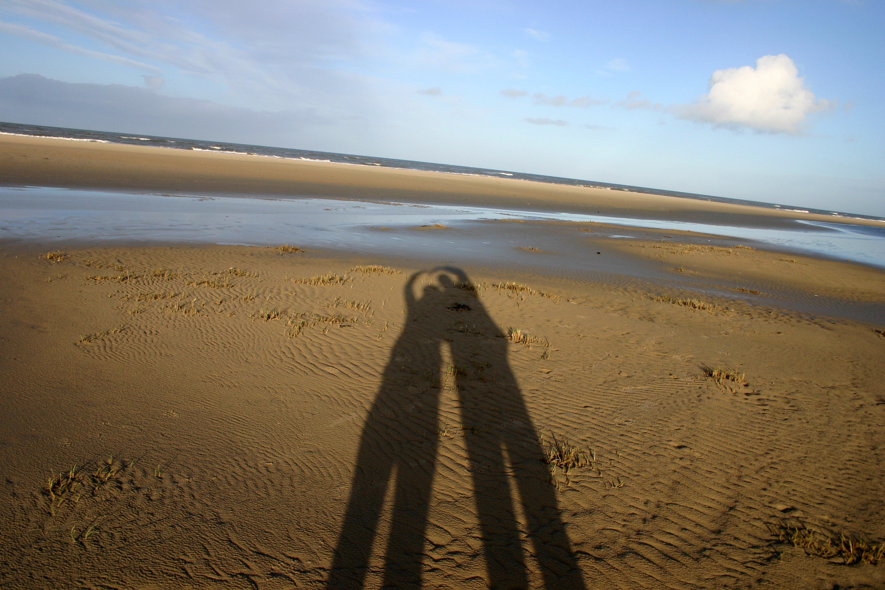 affection, sunlight, love, horizon, sky, together, real people, human, couples, sea, nature, trust, pair, water, community, tranquil scene, man, sand, shadow, HD Wallpaper