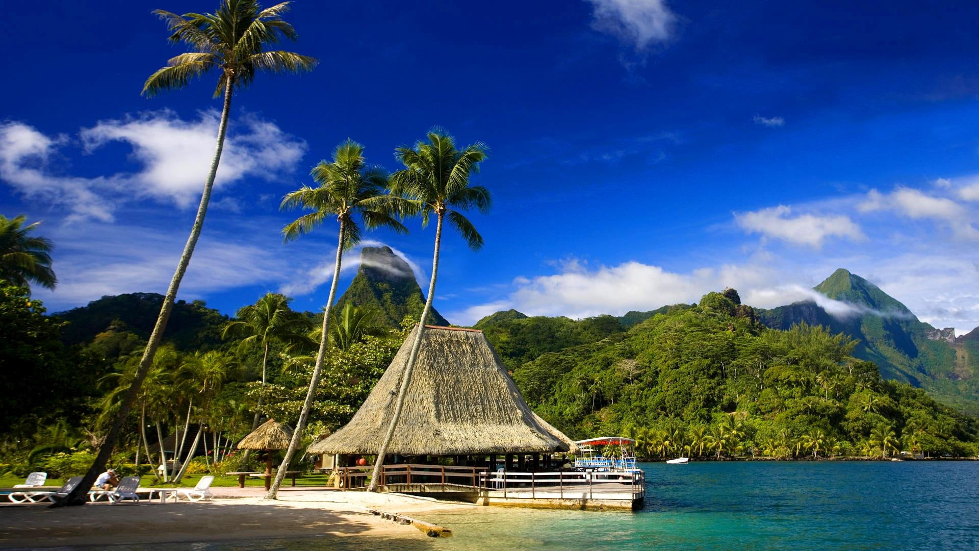 mountain, property, murea, palm, 3d and abstract, forest, tahiti, 1080P, beach, isl, bench, trees, restplace, HD Wallpaper