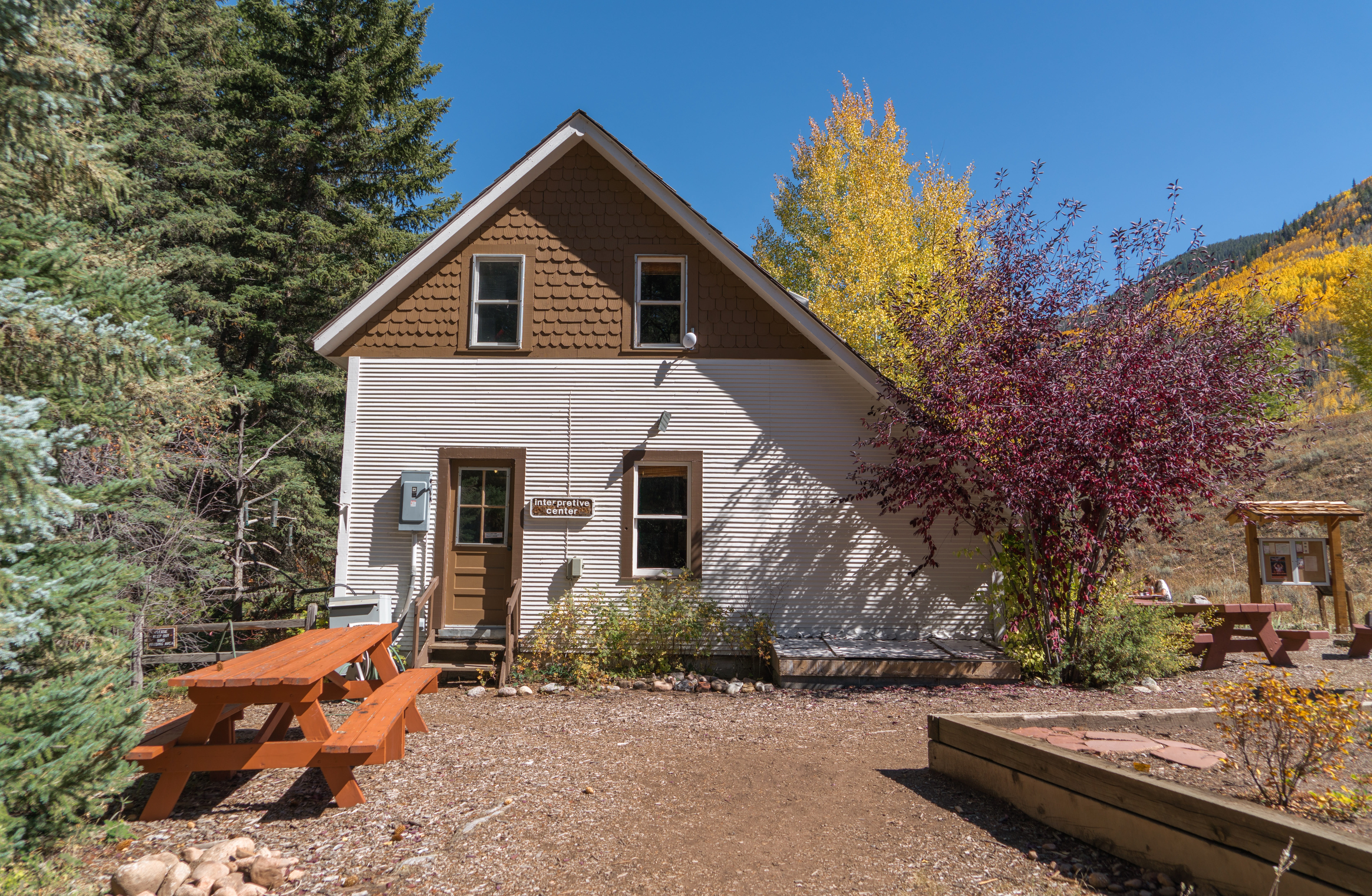 front or back yard, no people, destination, day, 5K, wood - material, tiny house, window, trees, residential district, property, wooden, aspens, residence, HD Wallpaper