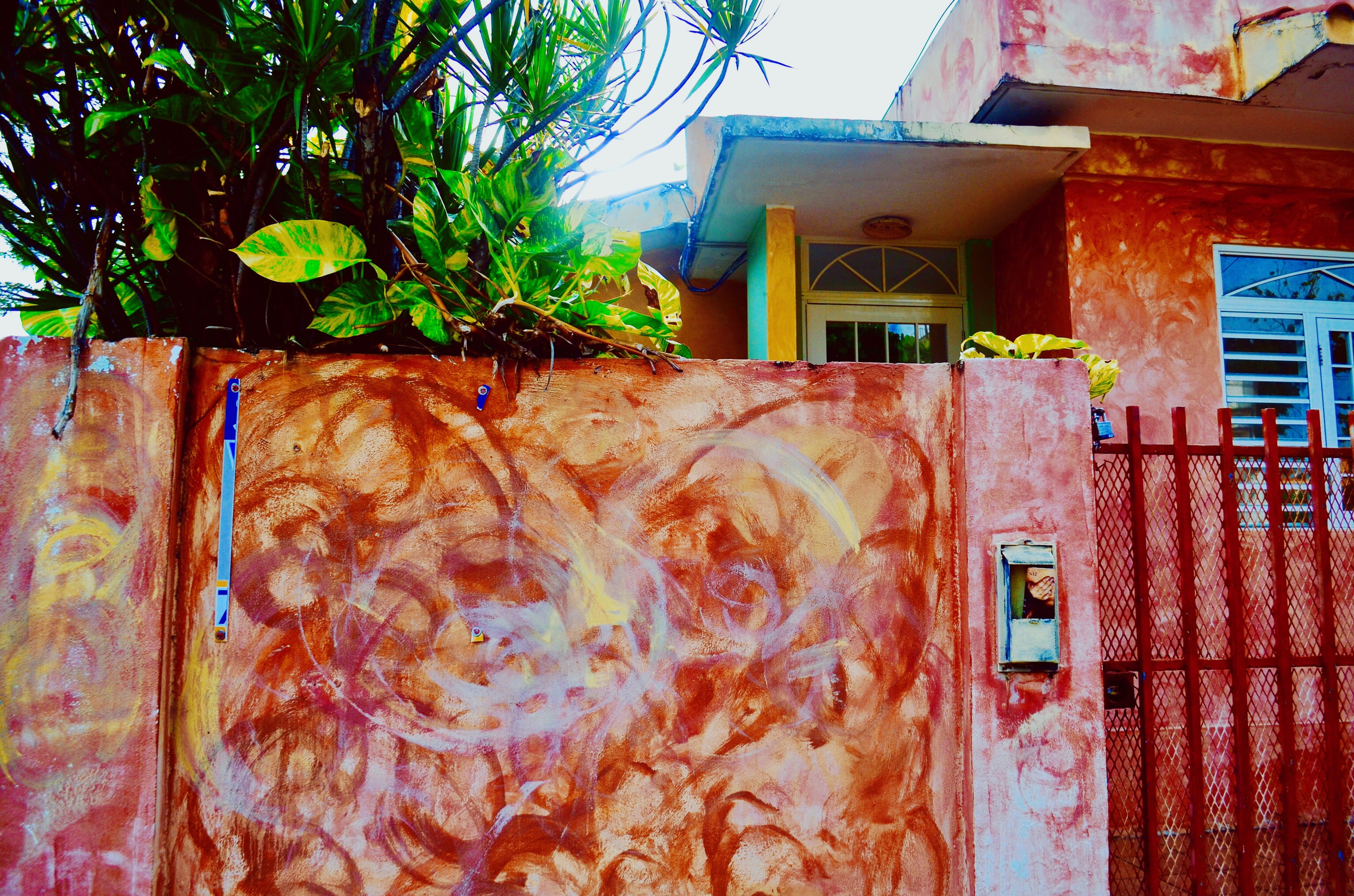 weathered, building, plant, nature, tree, no people, wall - building feature, outdoors, built structure, old, wall, painting, colors, gate, door, plants, HD Wallpaper