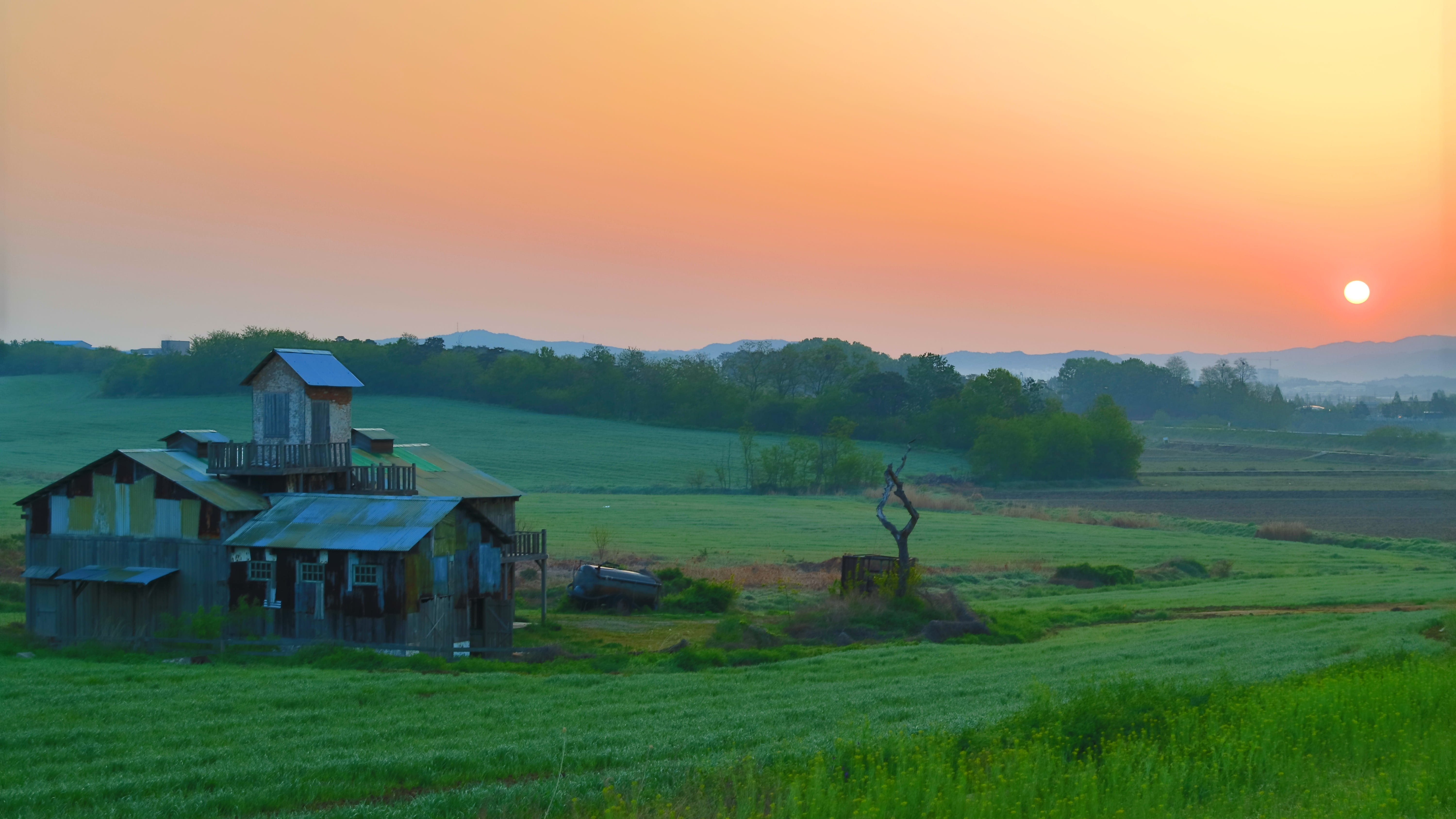 field, rural scene, palm island, building, land, 5K, ranch, beauty in nature, sky, grass, safe, agricultural building, spring, nature, no people, plant, HD Wallpaper