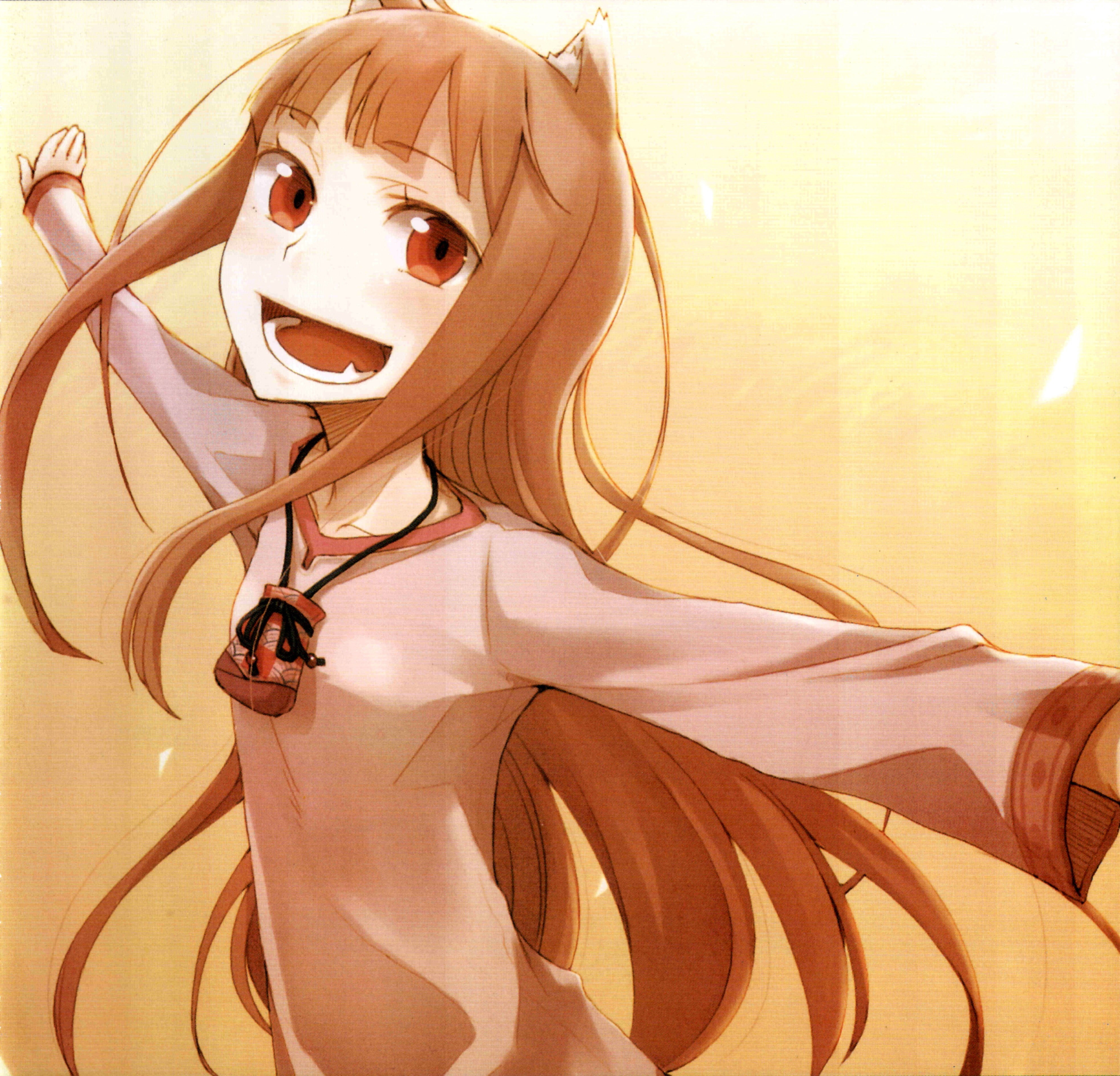 spice, 4K, wise, wolf, holo, HD Wallpaper