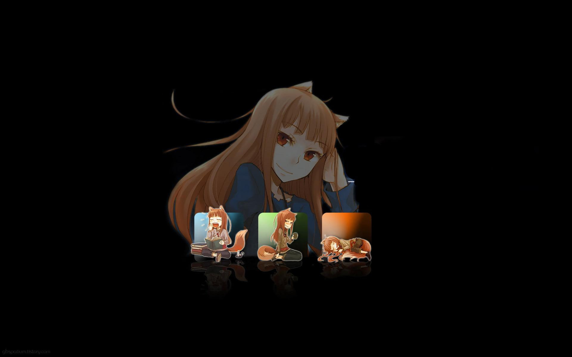 spice and wolf, anime, brown, holo, tail, girl, 1080P, illustration, wolf, fox, haired, spice, 1920x1200, HD Wallpaper