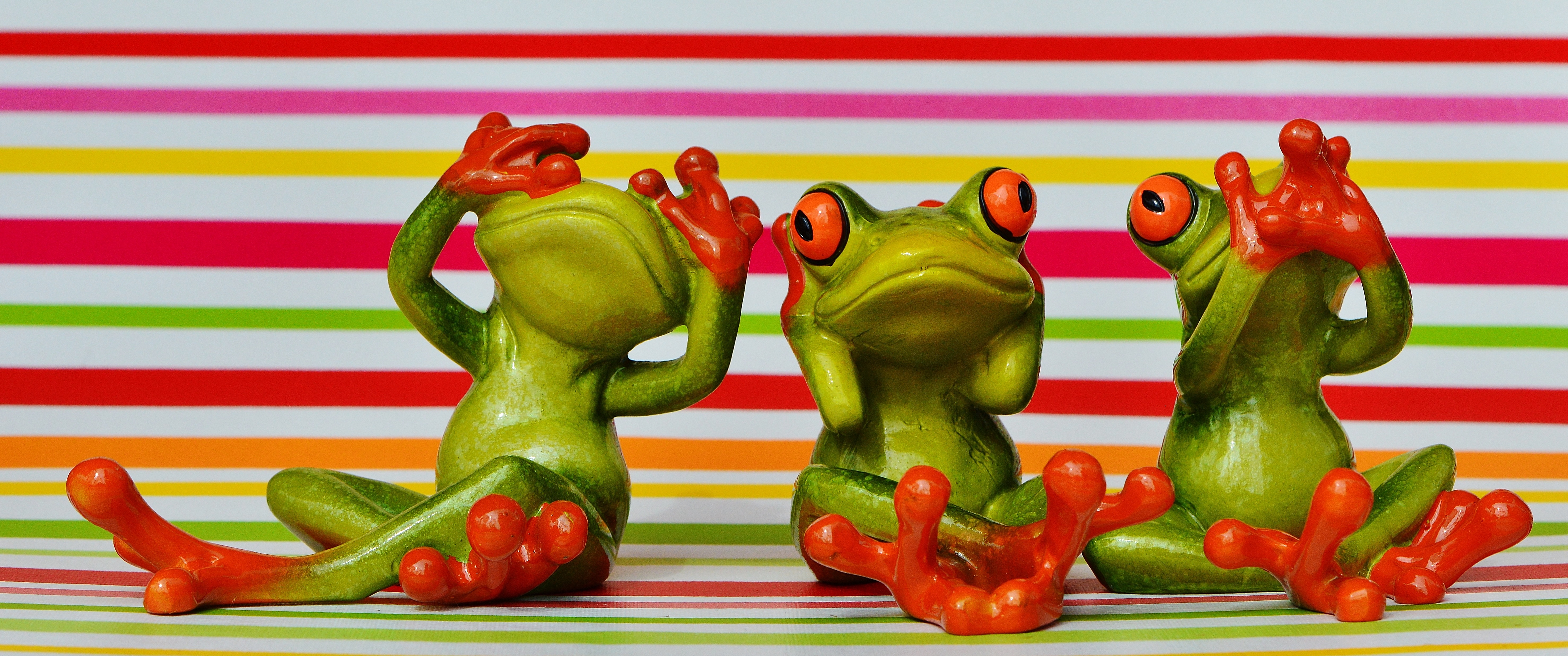 not hear, multi colored, food and drink, frogs, sit, healthy eating, freshness, studio shot, do not speak, indoors, spice, green, food, pepper, striped, HD Wallpaper
